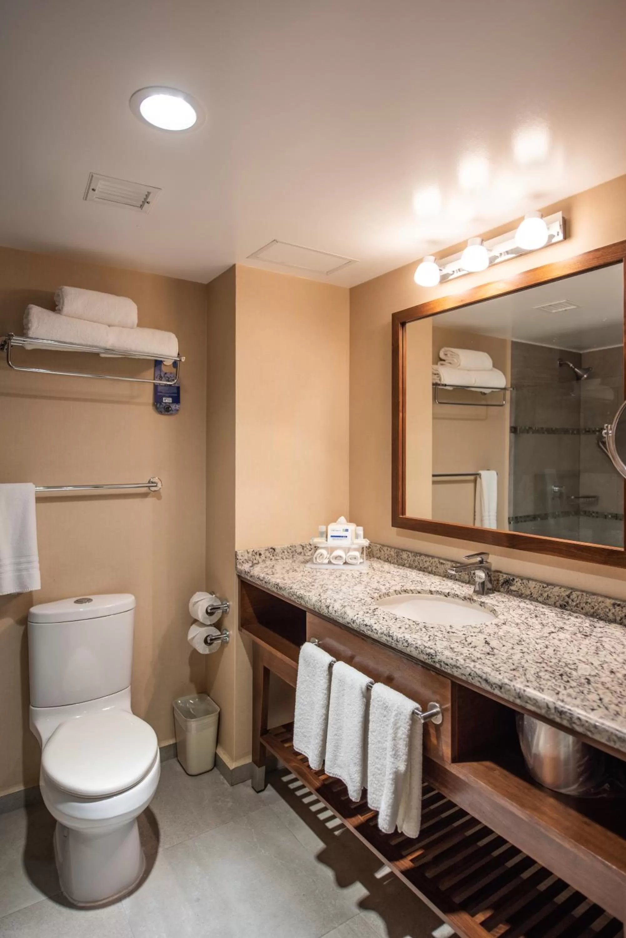 Bathroom in Holiday Inn Express and Suites Celaya by IHG