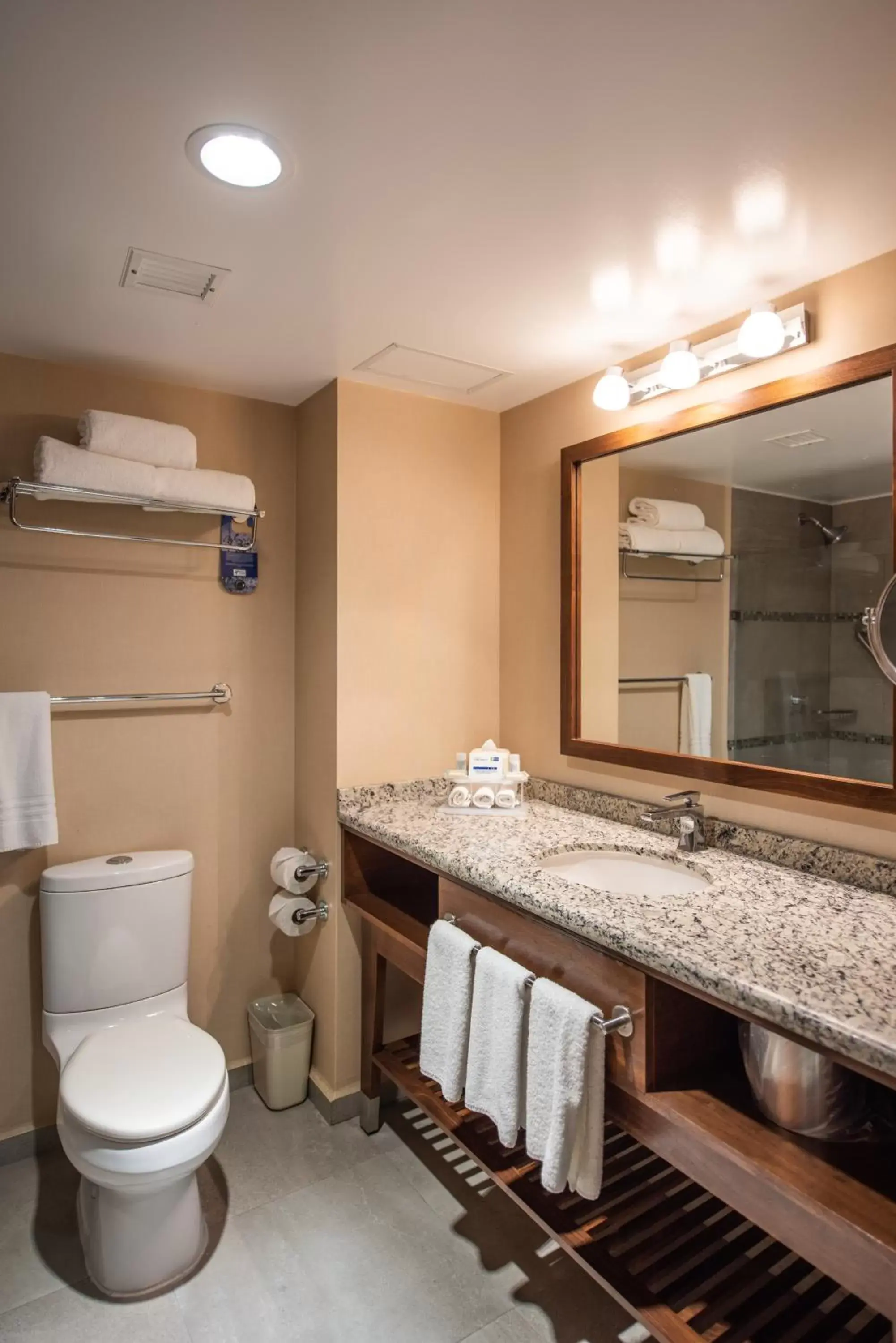 Bathroom in Holiday Inn Express and Suites Celaya, an IHG Hotel