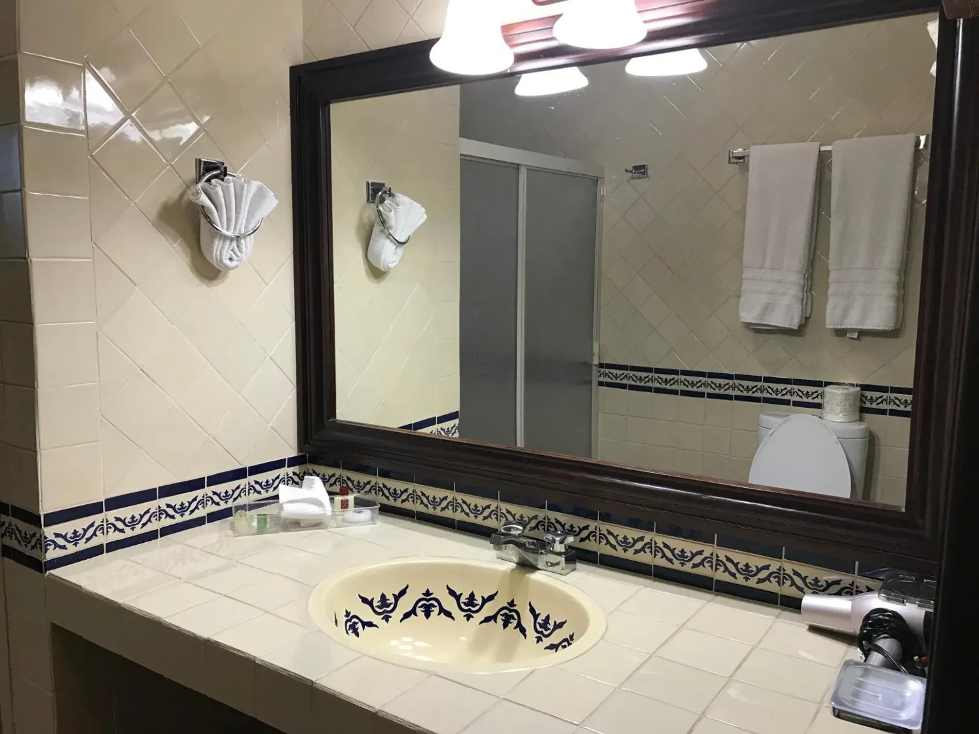 Shower, Bathroom in Hotel Valles