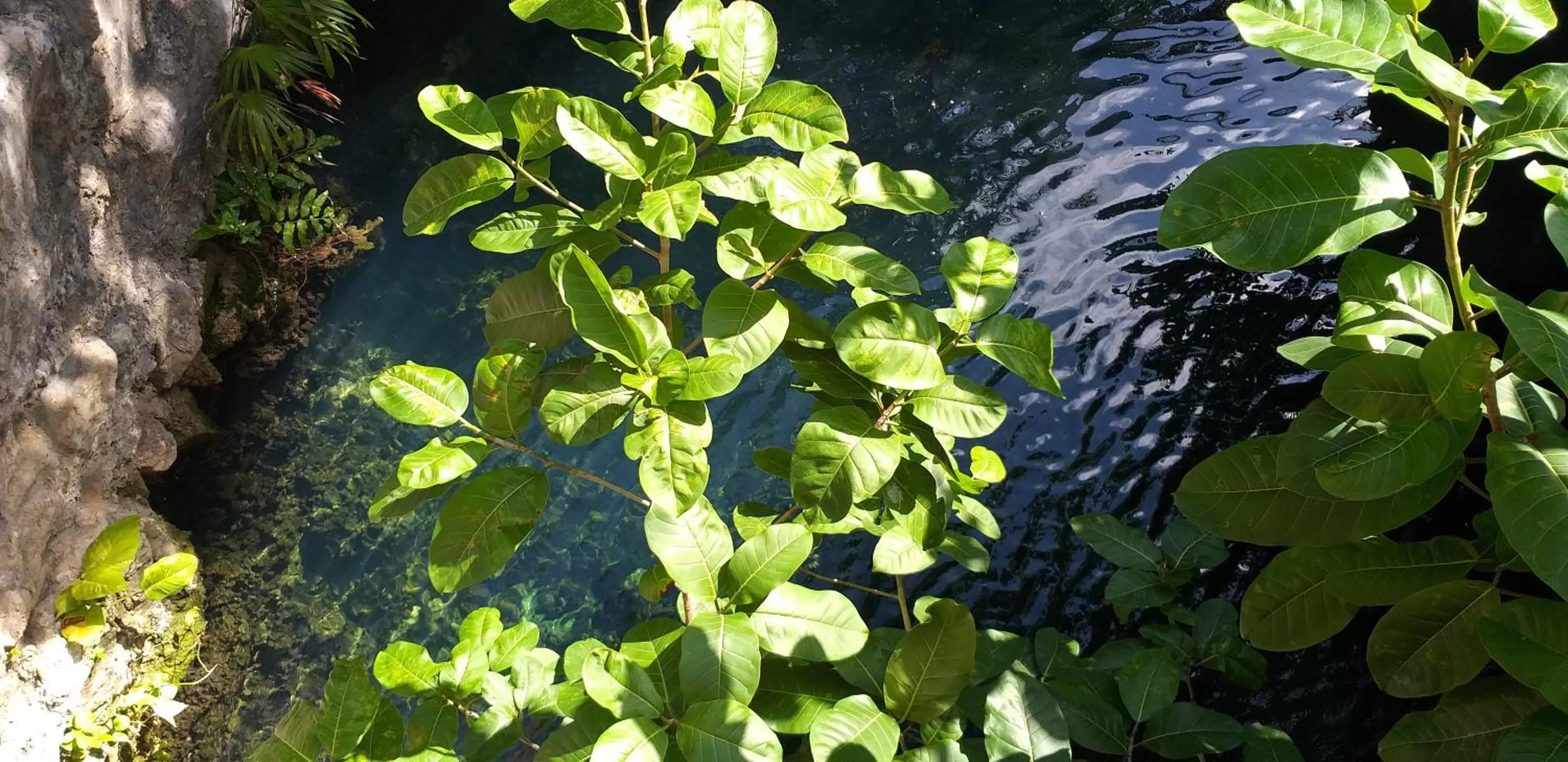 Natural landscape in Posada Sian Kaan Playa del Carmen - Wellness Oriented Hotel