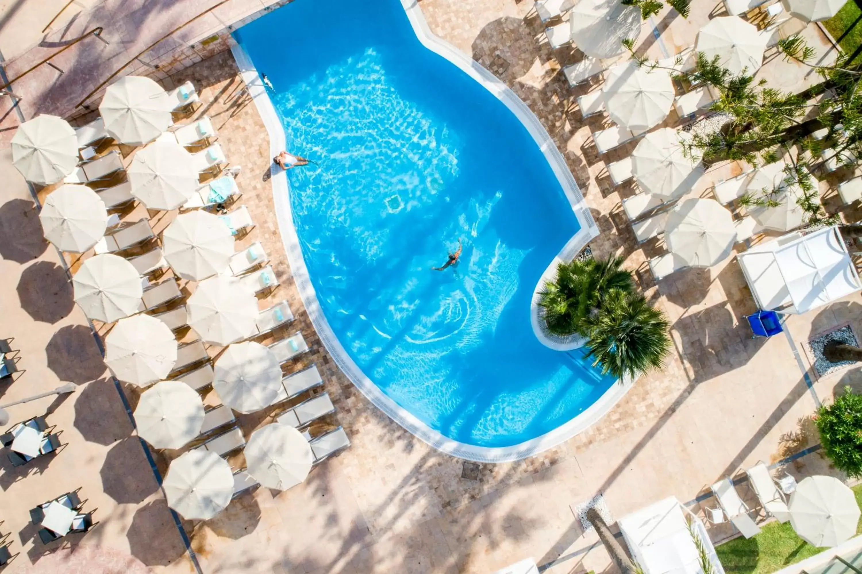 Swimming pool, Pool View in CM Playa del Moro