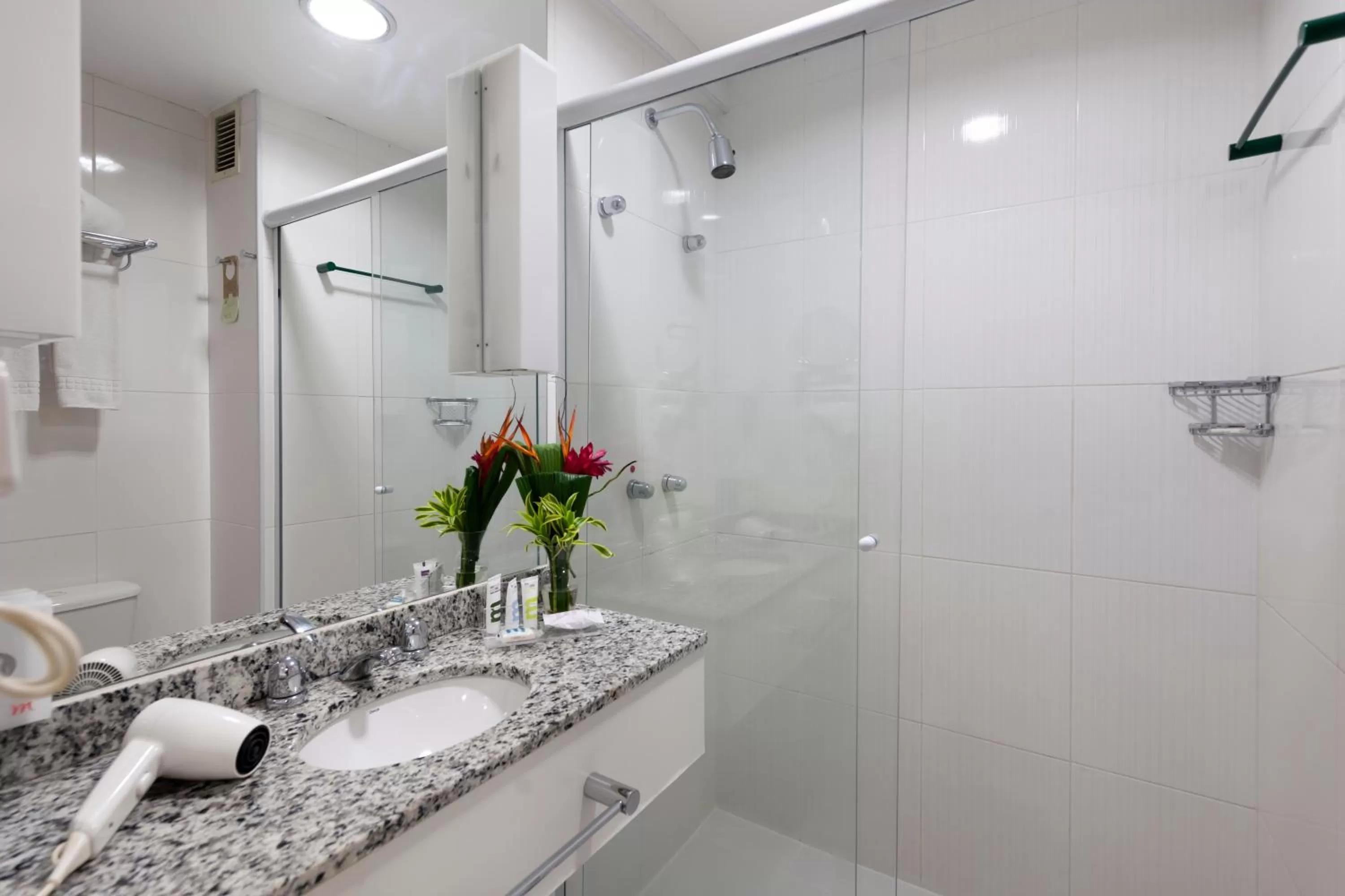 Shower in Mercure Rio de Janeiro Nova Iguaçu