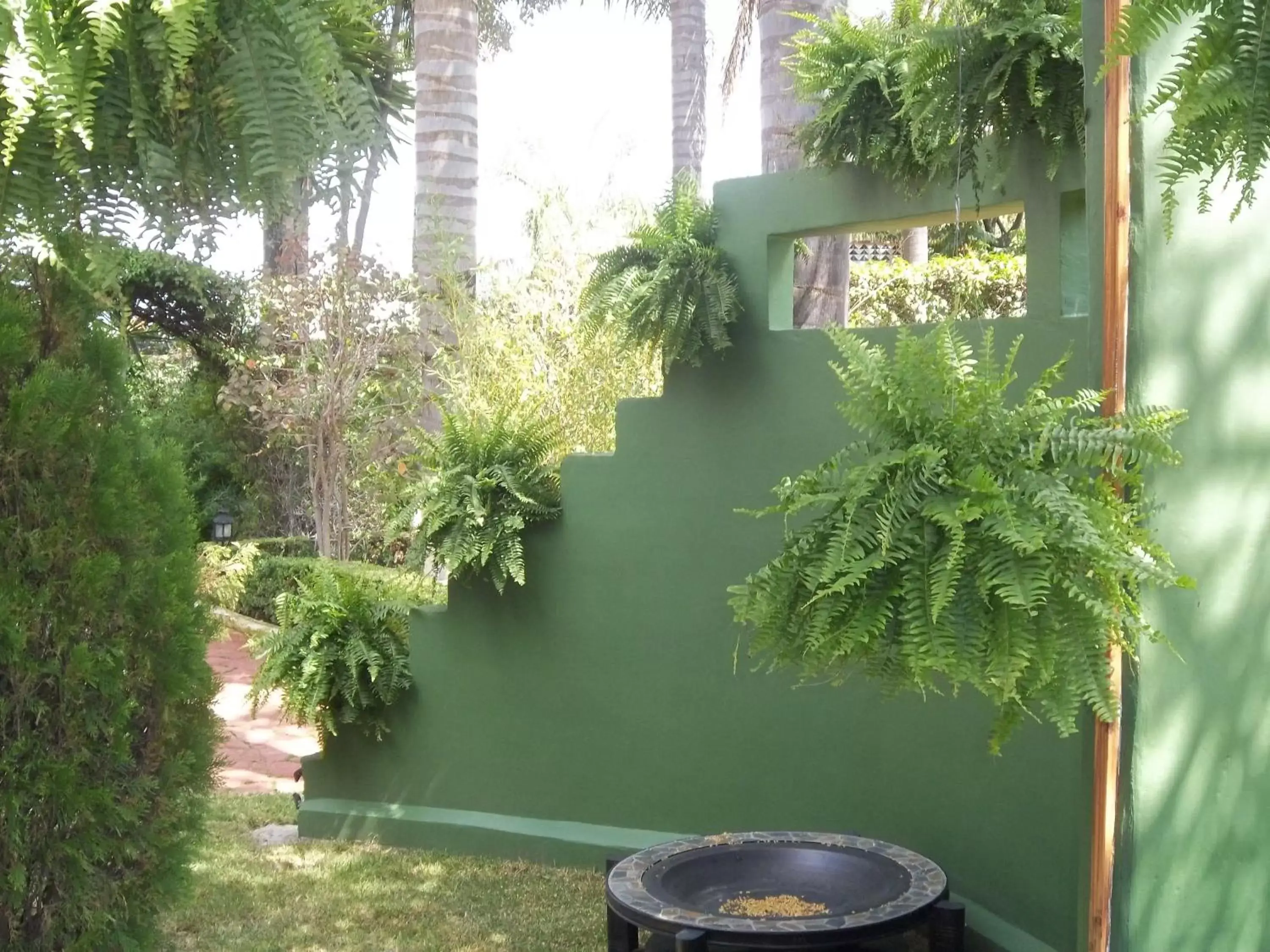 Garden in Posada Los Alcatraces