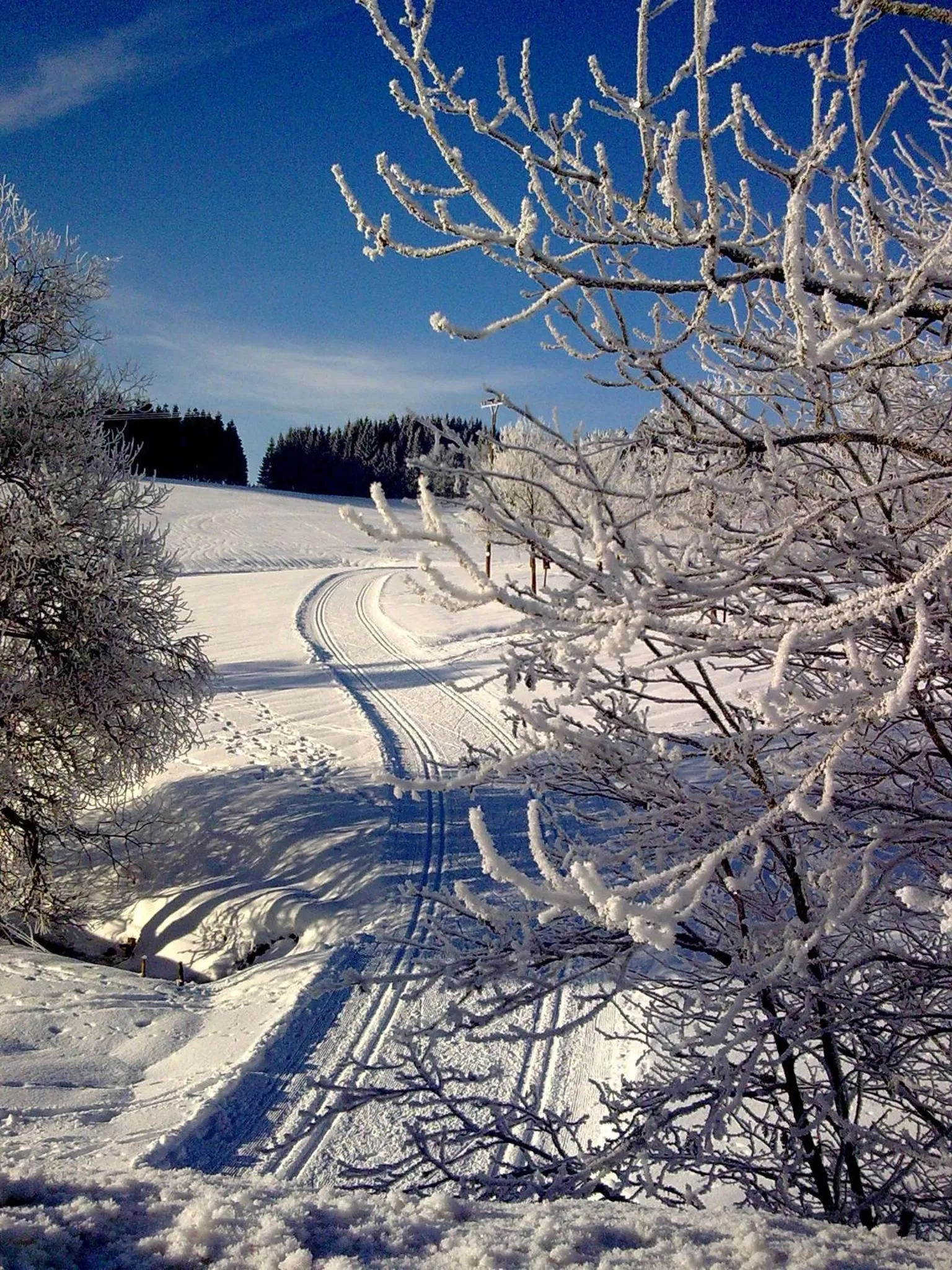 Natural landscape in ZUR TRAUBE Schwarzwaldhotel & Restaurant am Titisee
