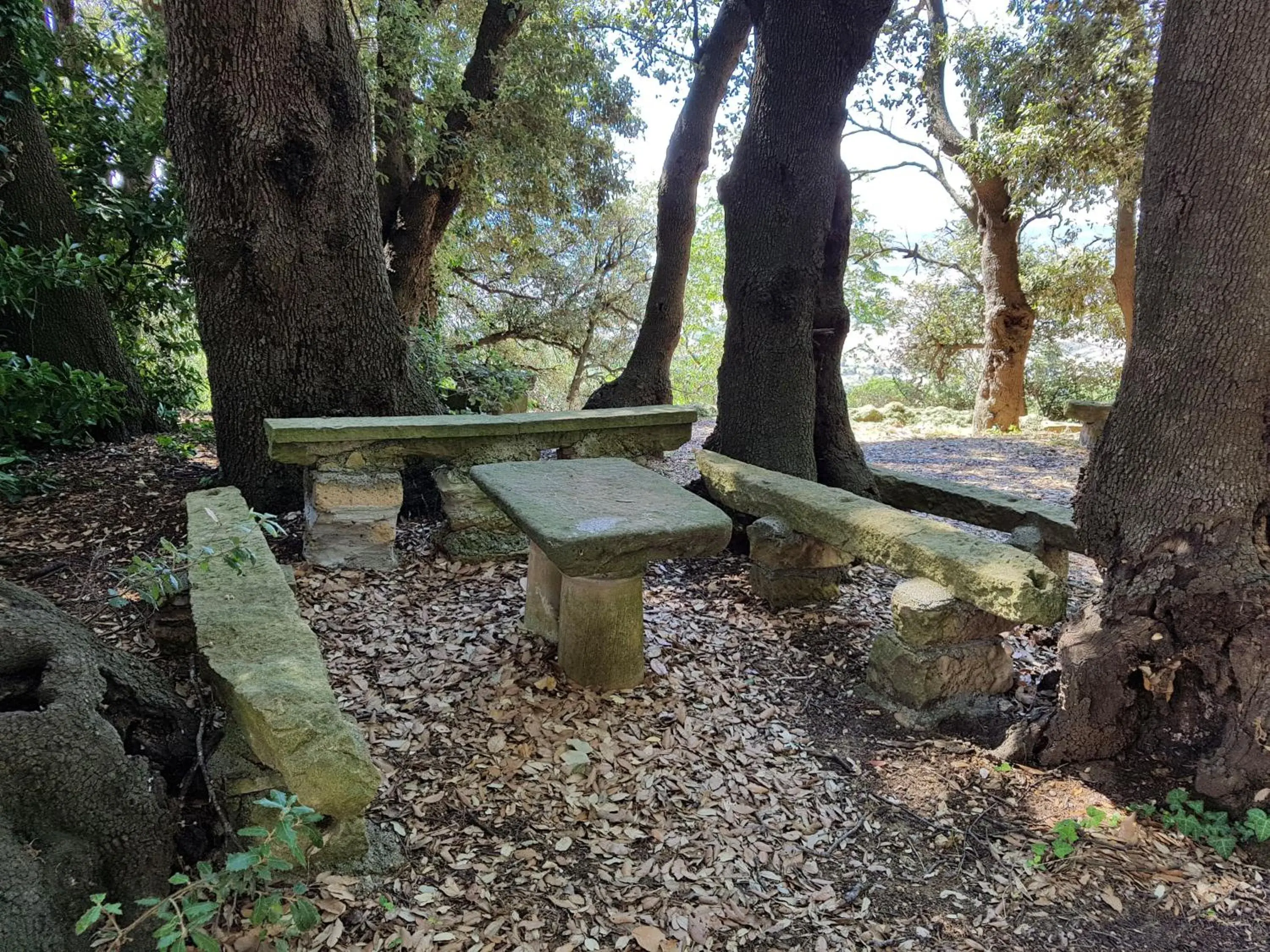 Garden in Villa Nencini