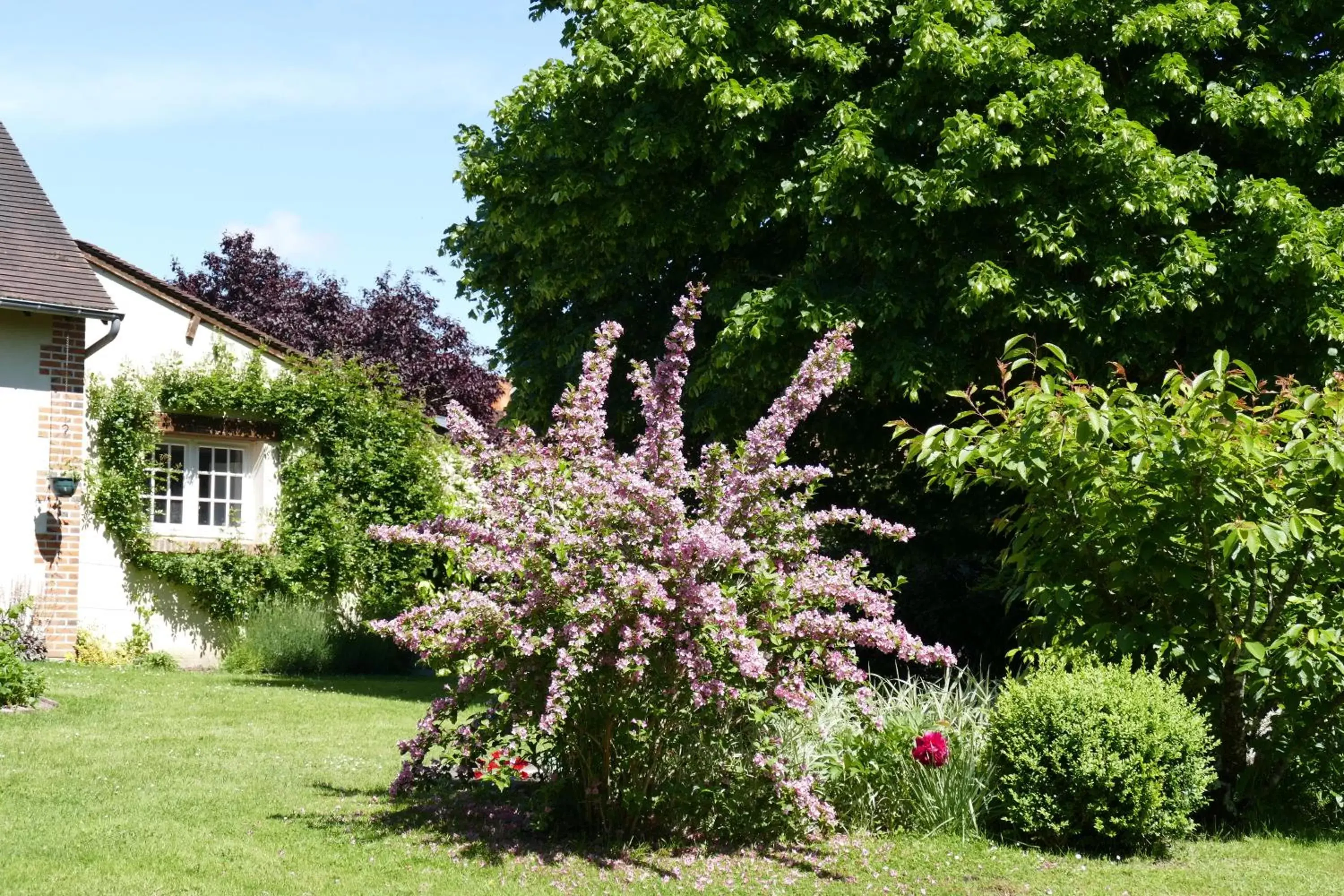 Property building, Garden in Le Clos des Perraudières