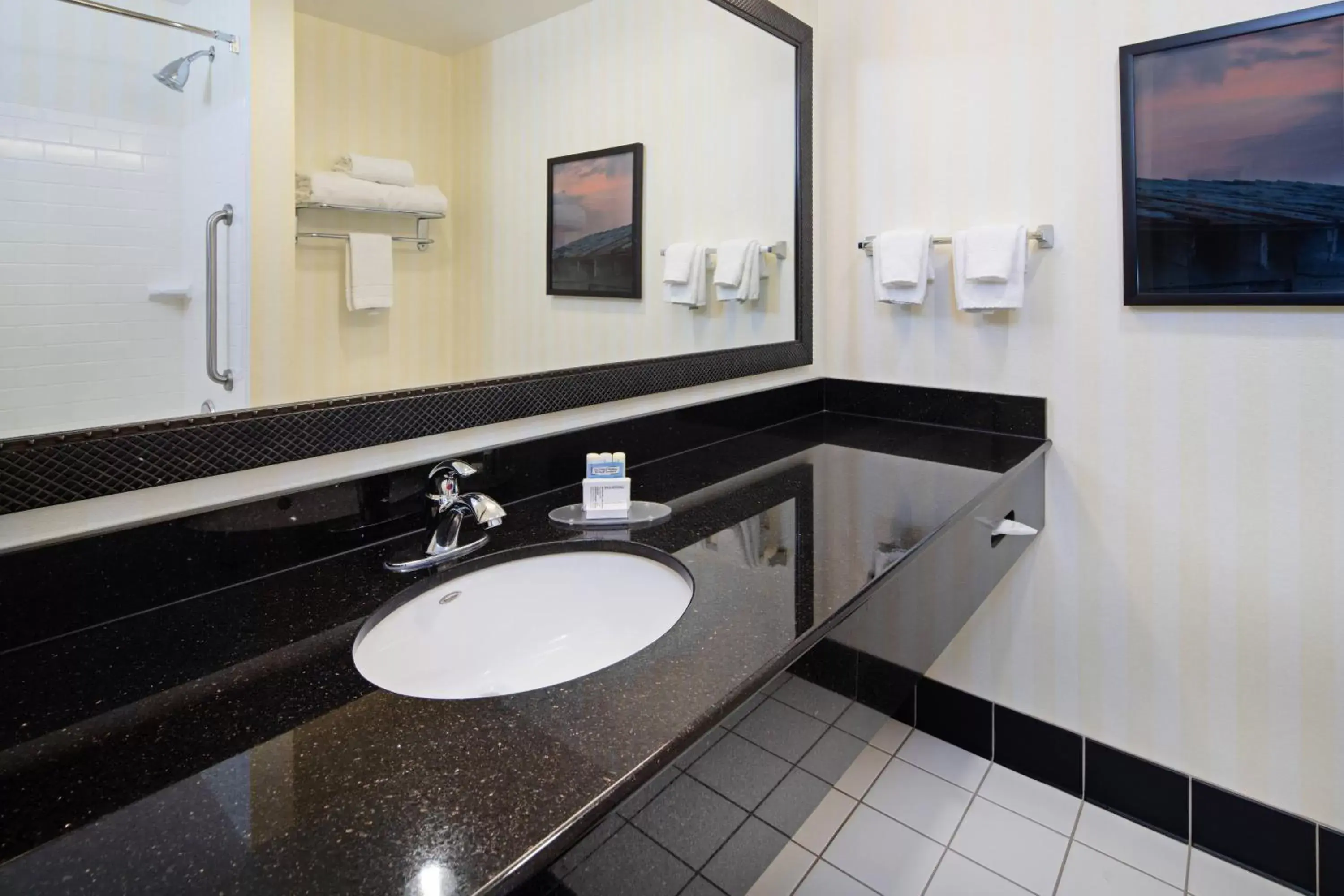 Bathroom in Fairfield Inn & Suites Seattle Bremerton