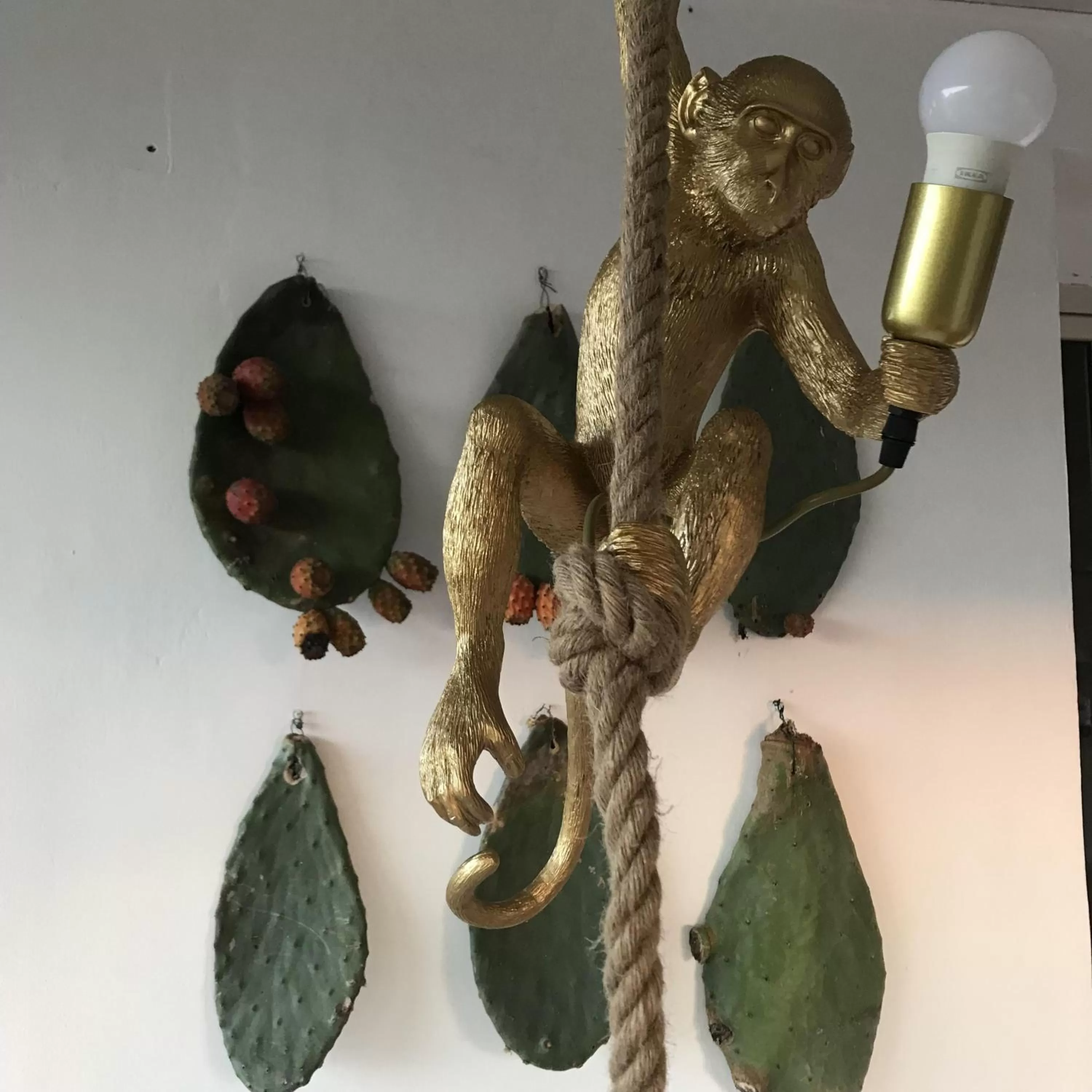 Property building, Other Animals in CasapiuHolidaySicilia-Adults Only