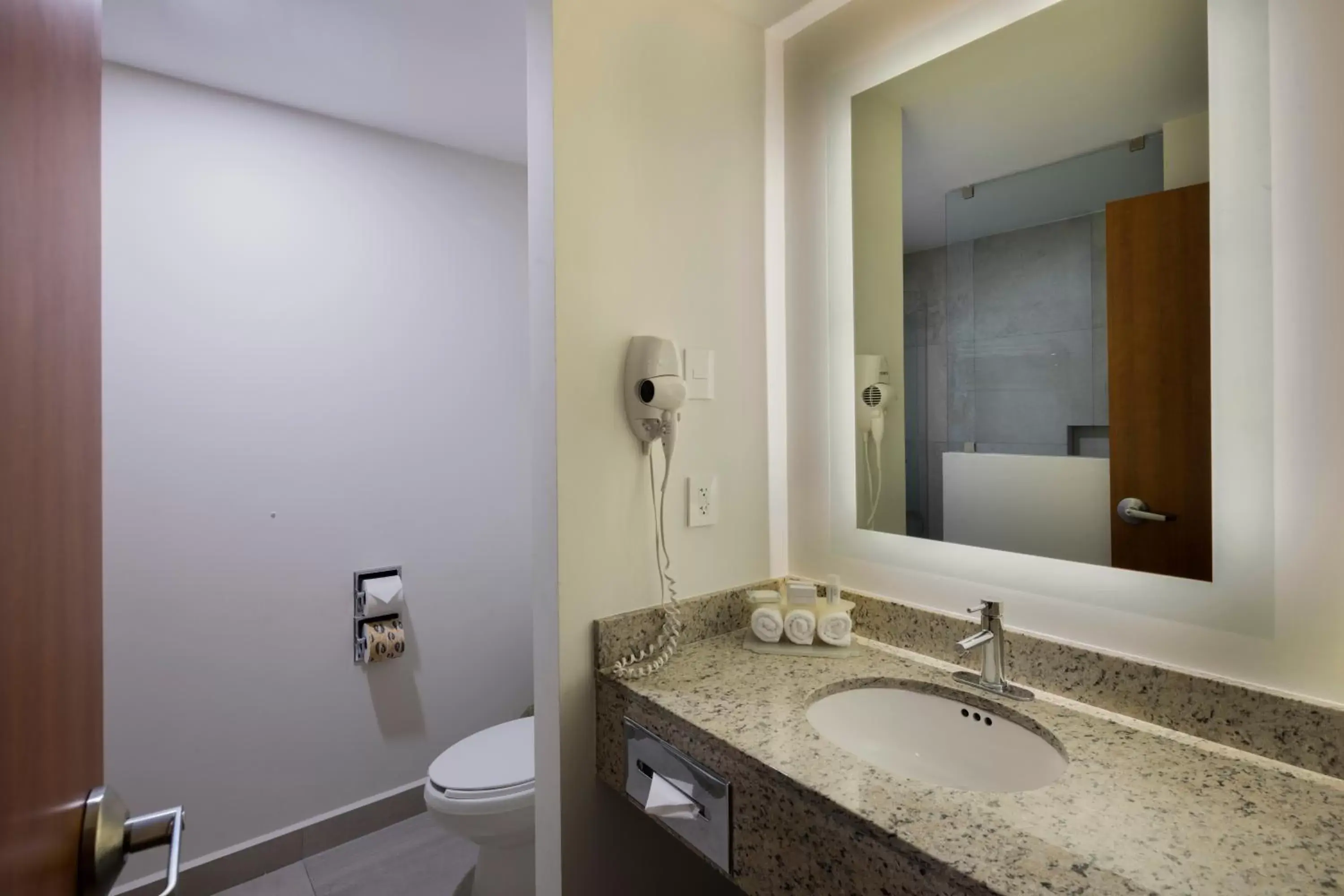 Bathroom in Holiday Inn Express Puebla, an IHG Hotel