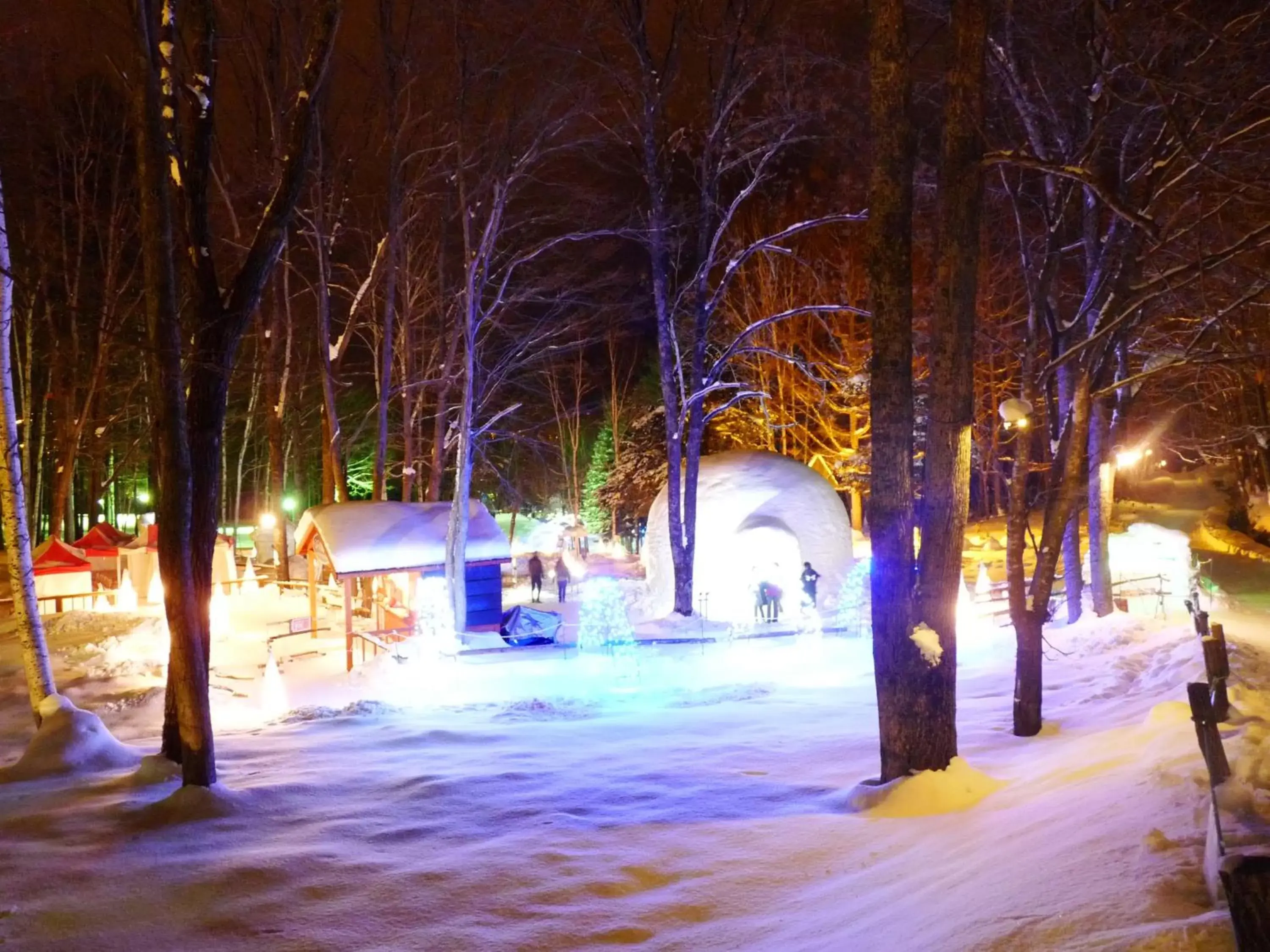 Winter in Shin Furano Prince Hotel