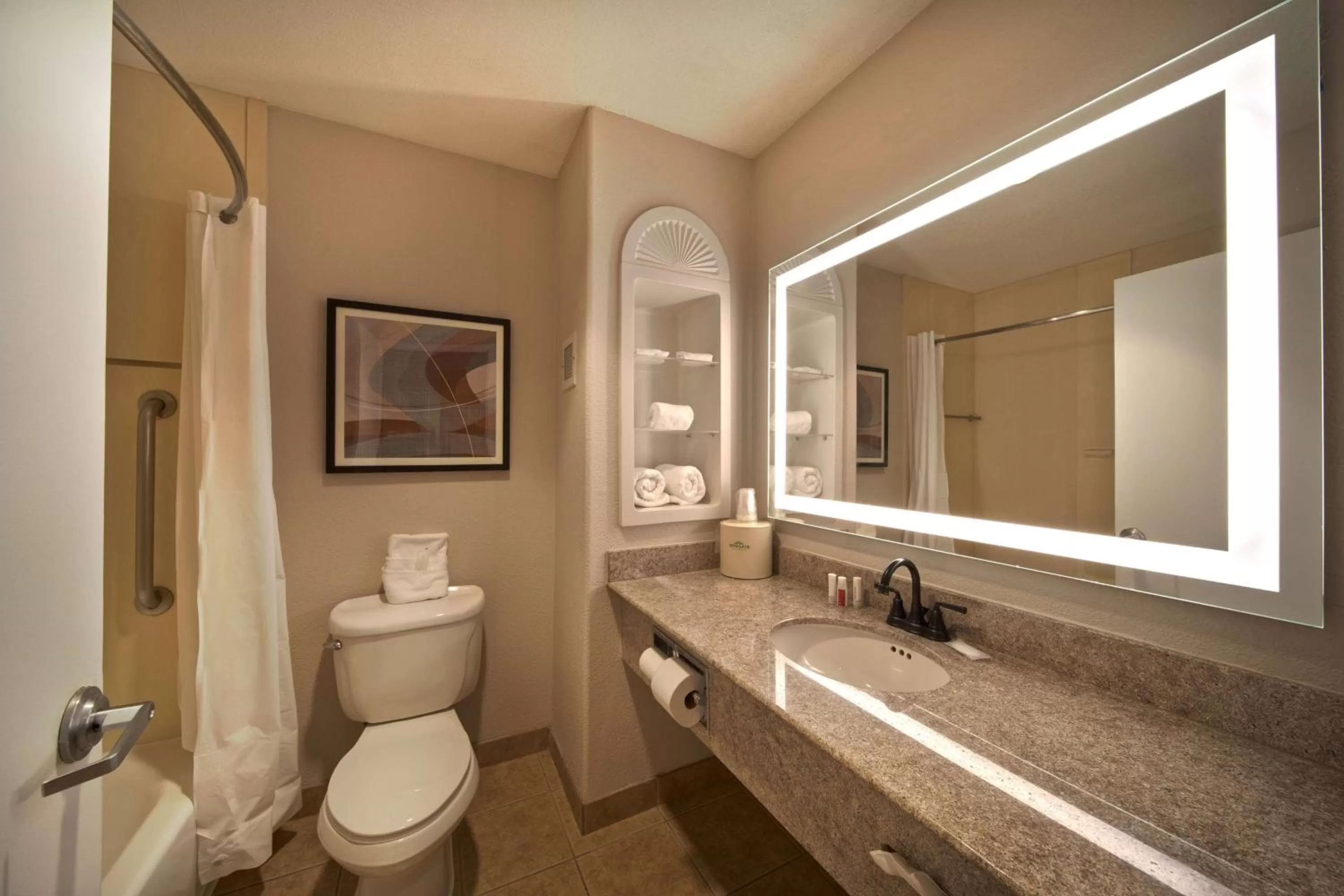 TV and multimedia in Wingate by Wyndham Houston Bush Intercontinental Airport