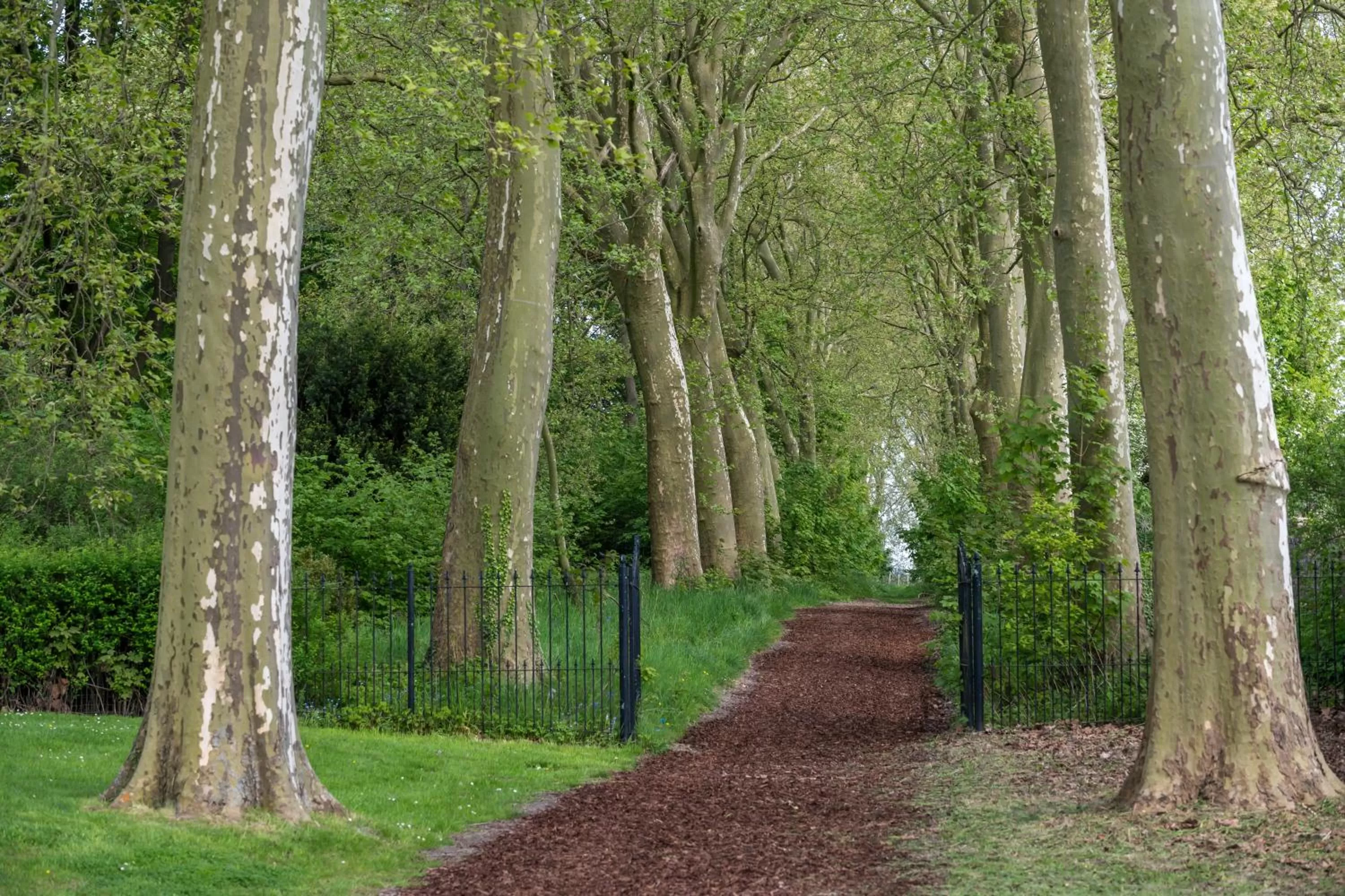 Natural landscape in Martin's Rentmeesterij
