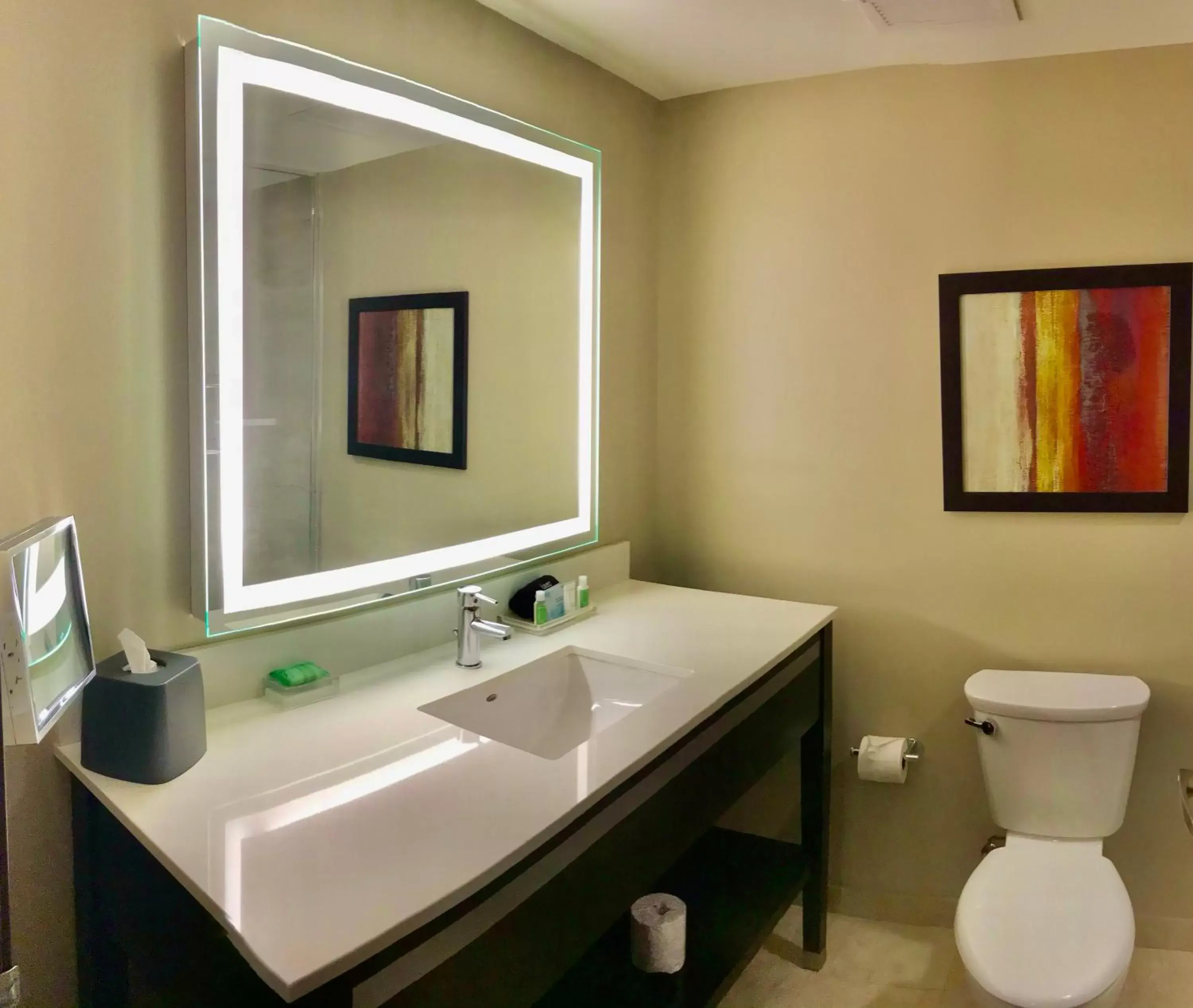 Bathroom in Holiday Inn Chicago Schaumburg, an IHG Hotel