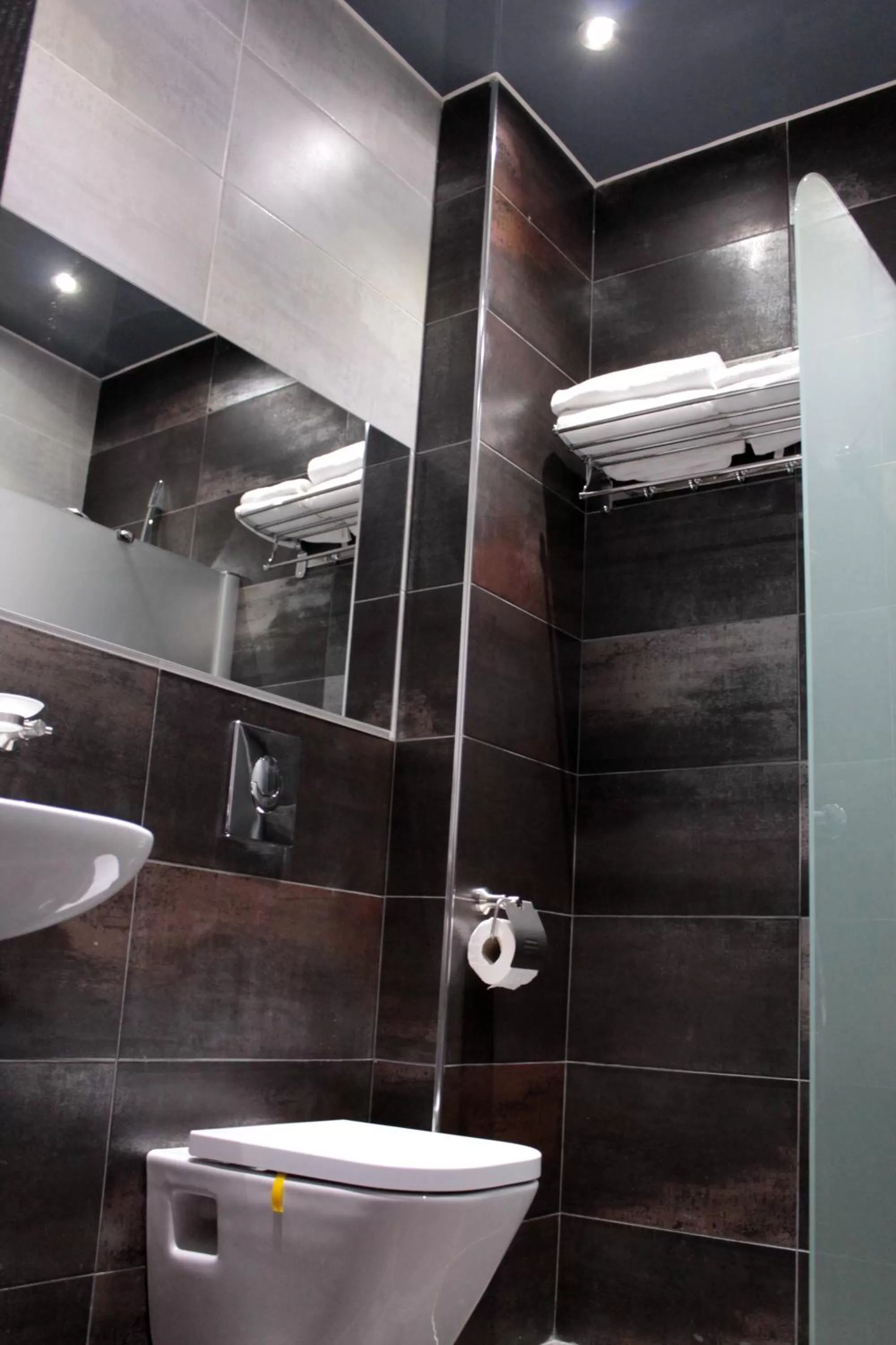 Shower in Royal Venezia Hotel