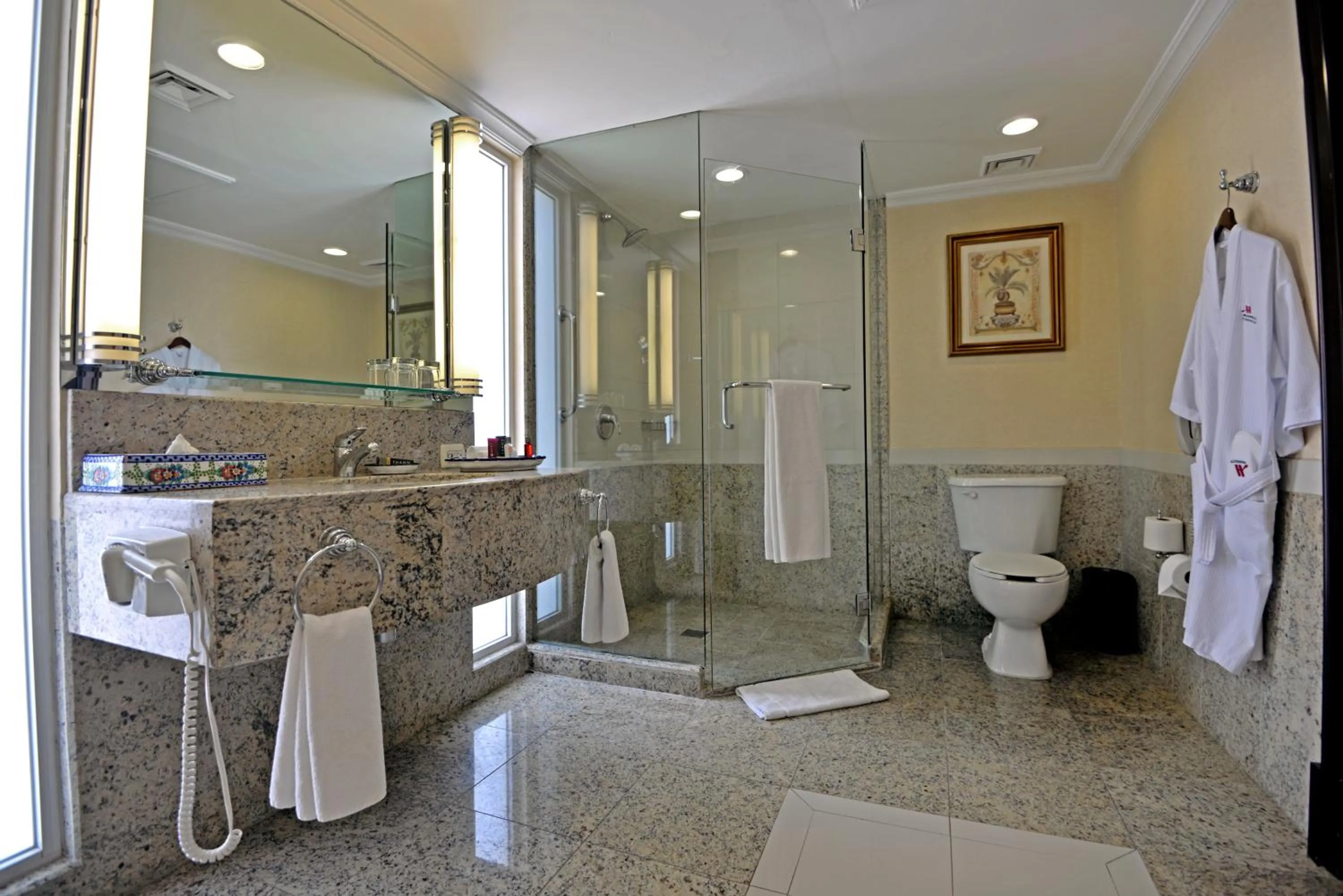 Bathroom in Marriott Torreon Hotel