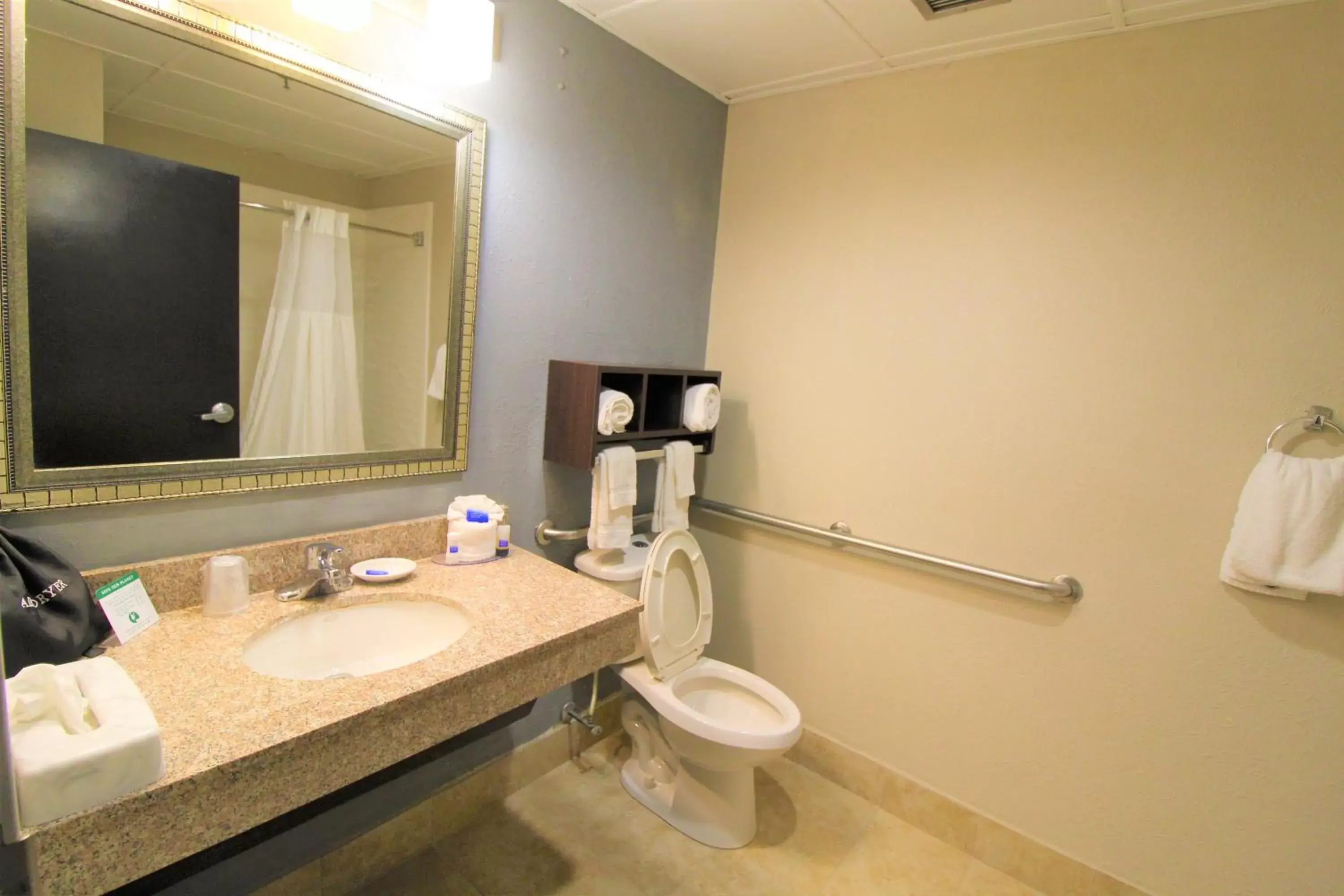 Bathroom in Best Western Albemarle Inn