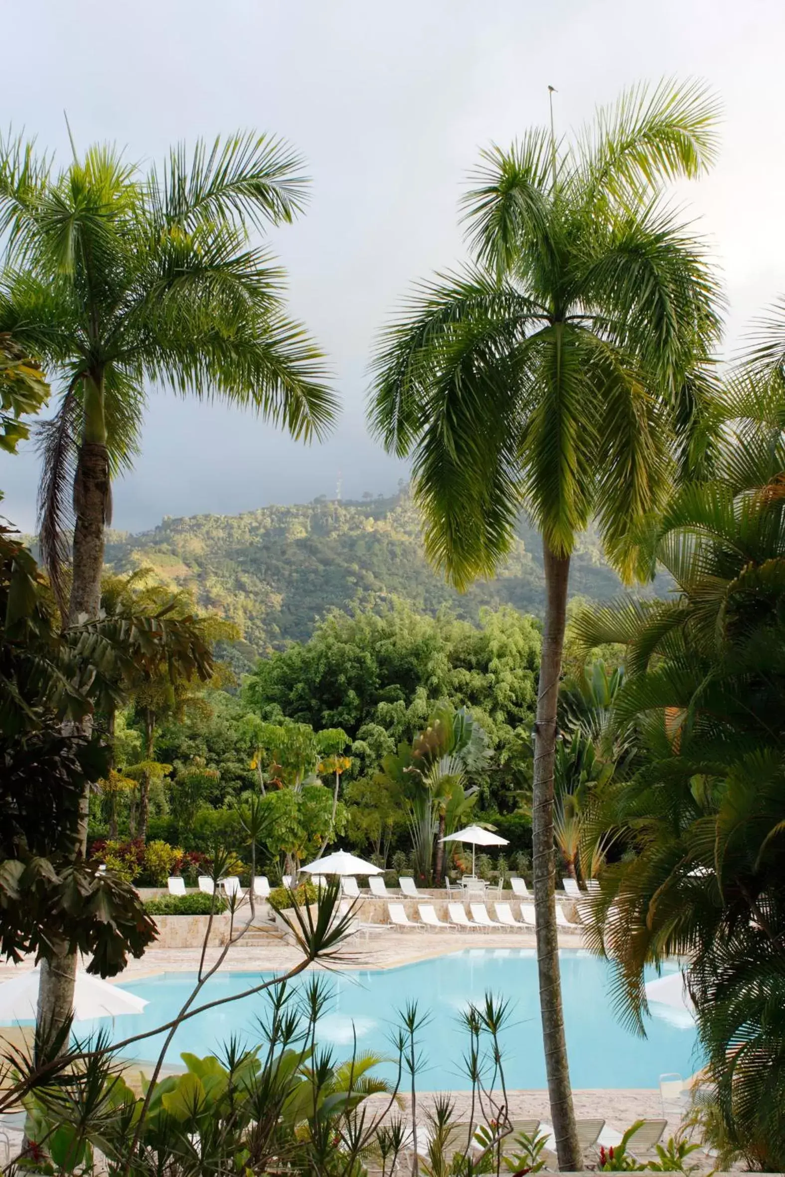 Day, Swimming Pool in Hotel Estelar Altamira