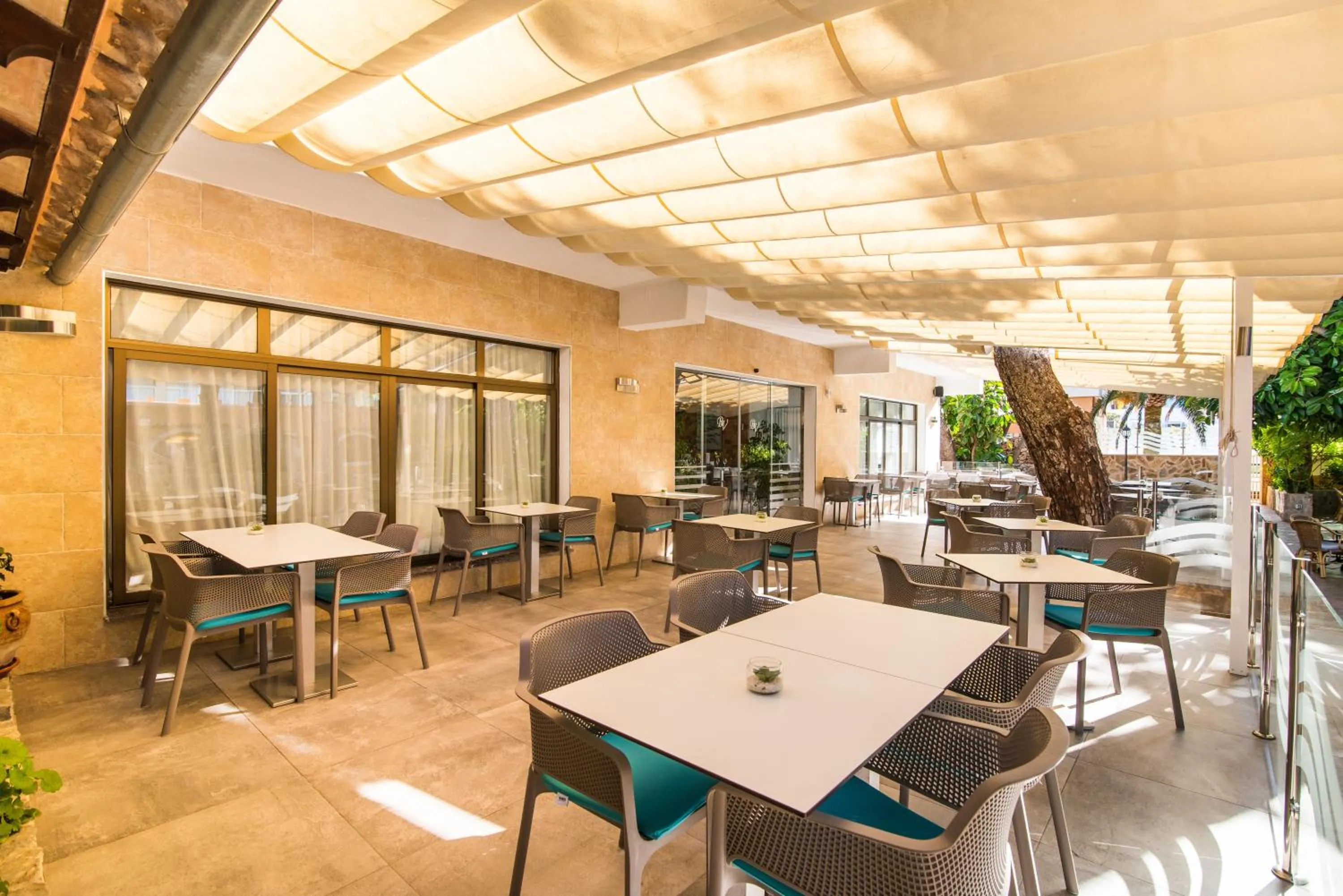 Restaurant/places to eat in Hotel Baviera