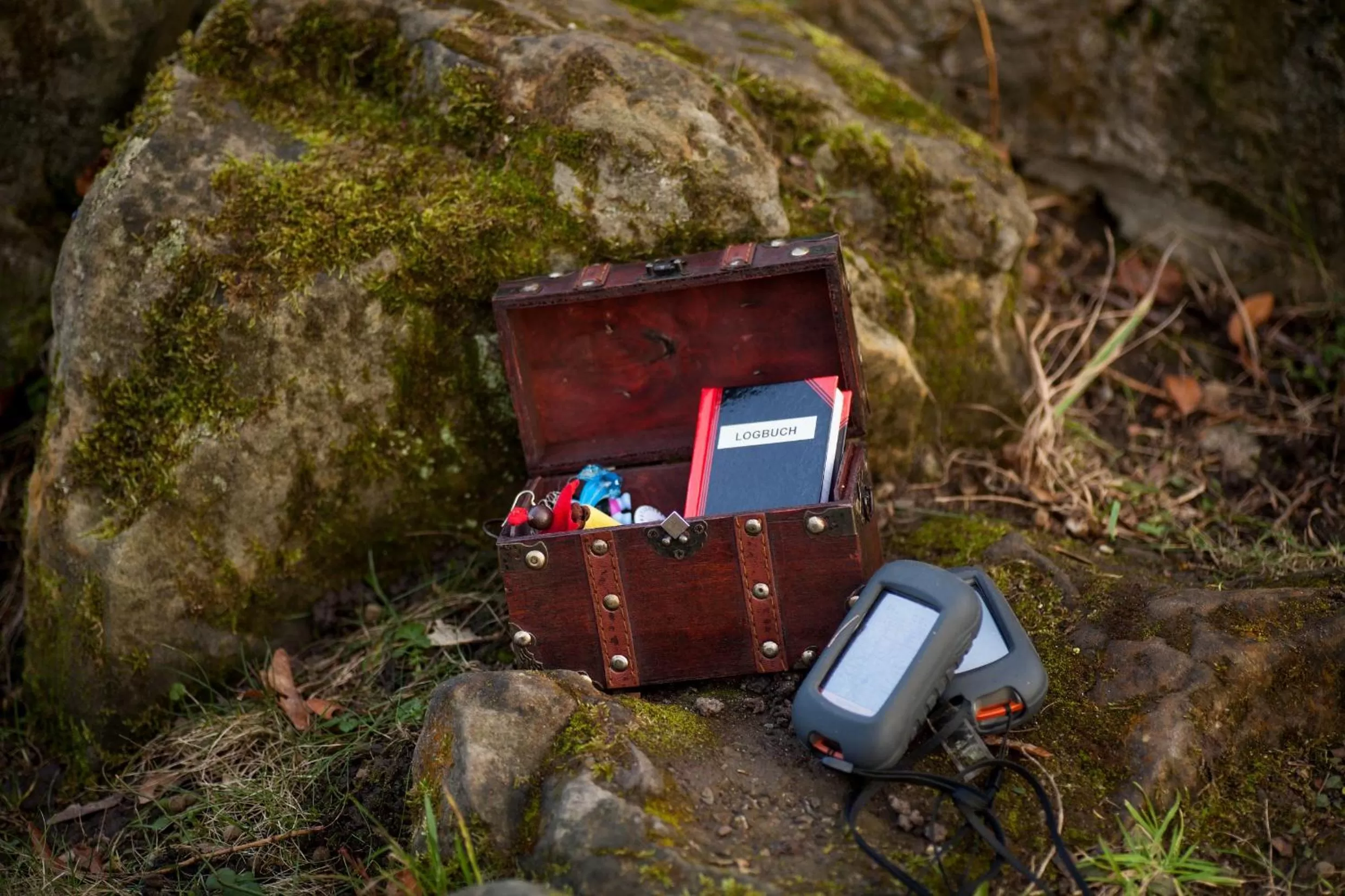 Activities in Hotel Bispinger Heide by Center Parcs