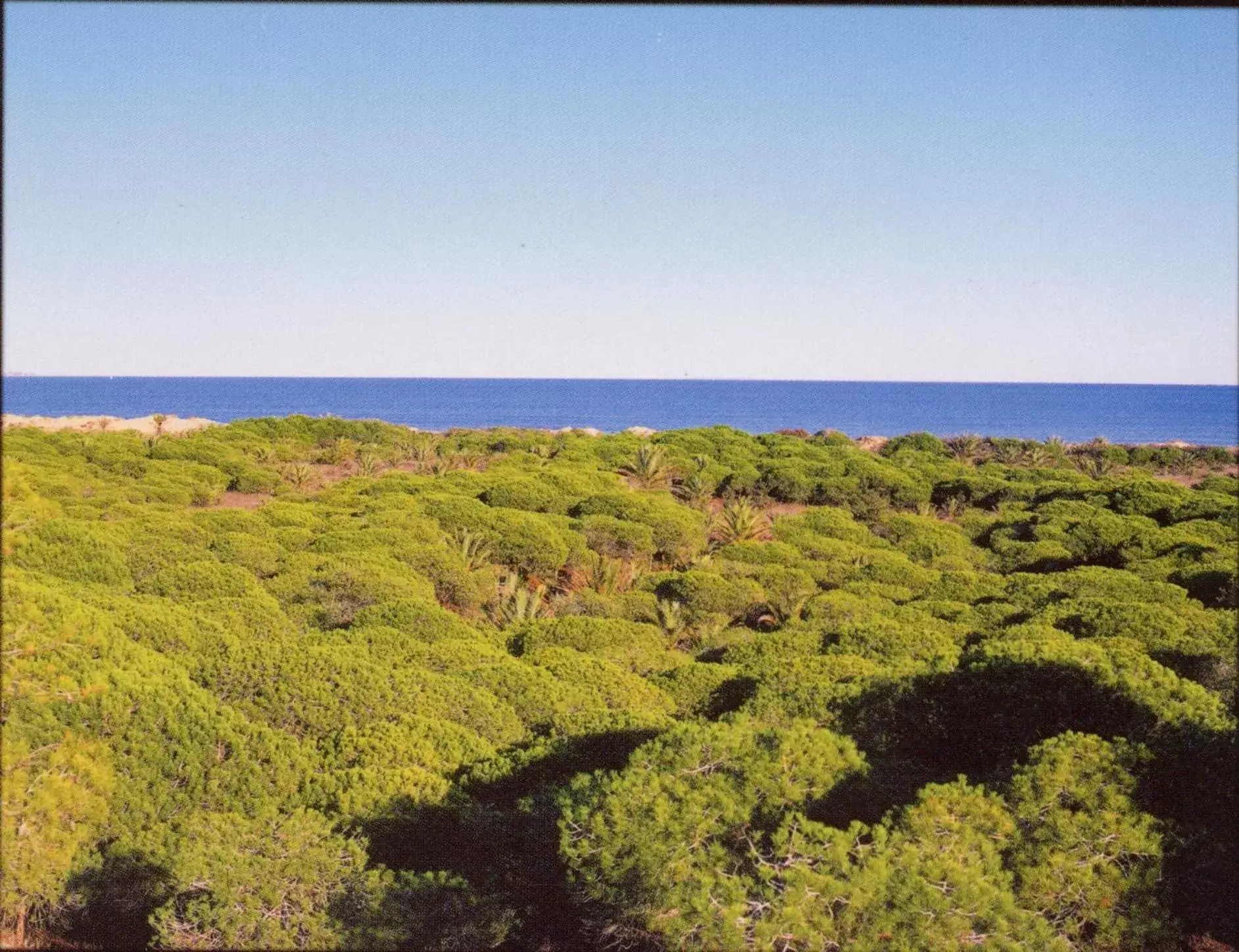 View (from property/room) in Hotel ParqueMar Premium Beach