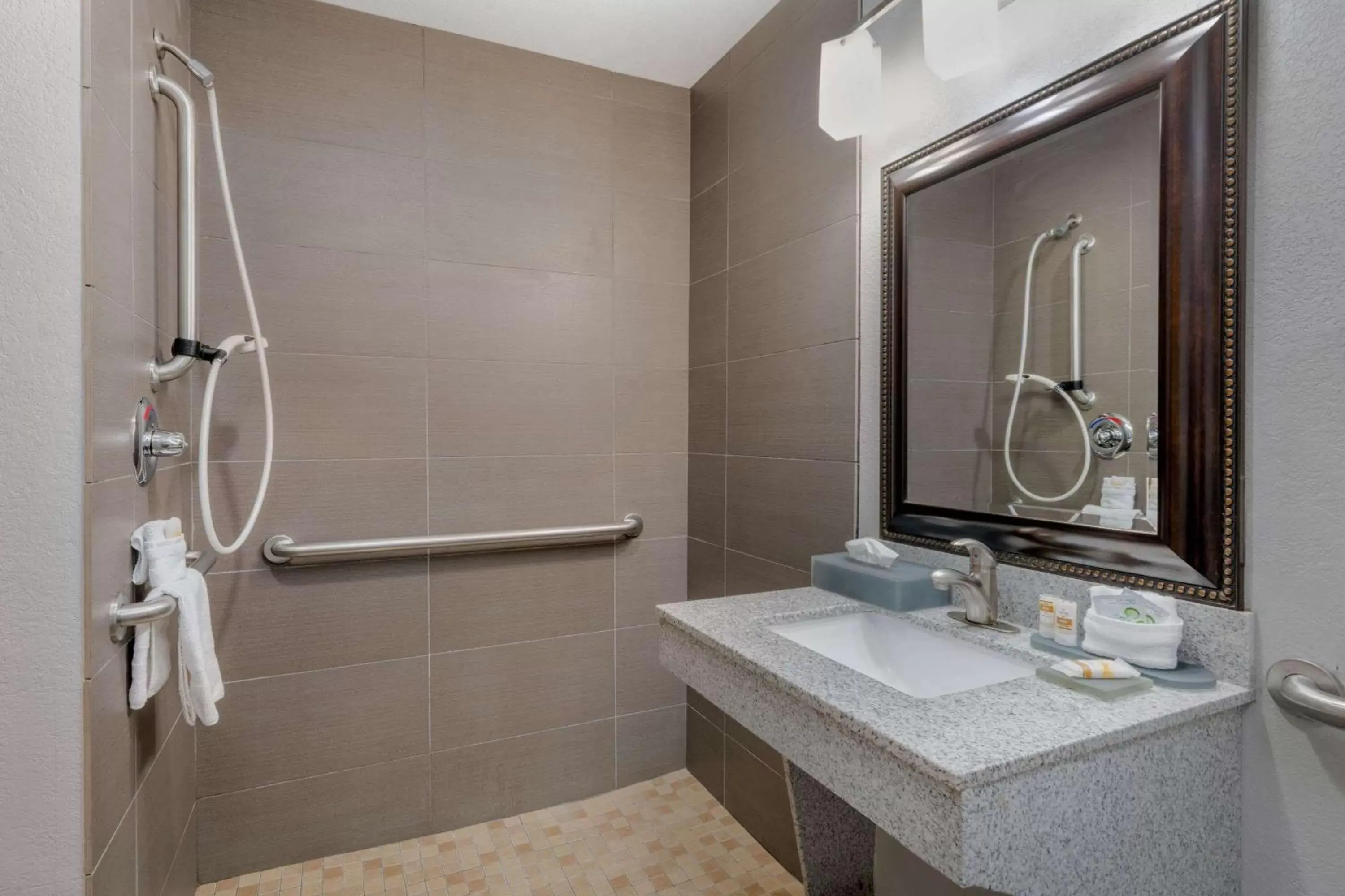 Shower, Bathroom in La Quinta by Wyndham Fort Worth Eastchase