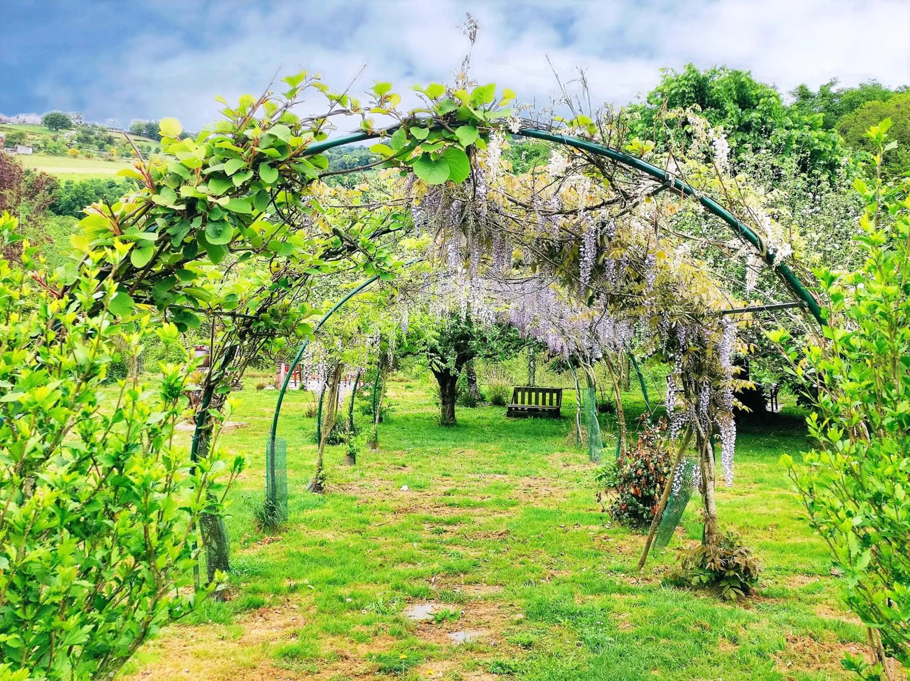 Garden in Hotel Casa de Díaz