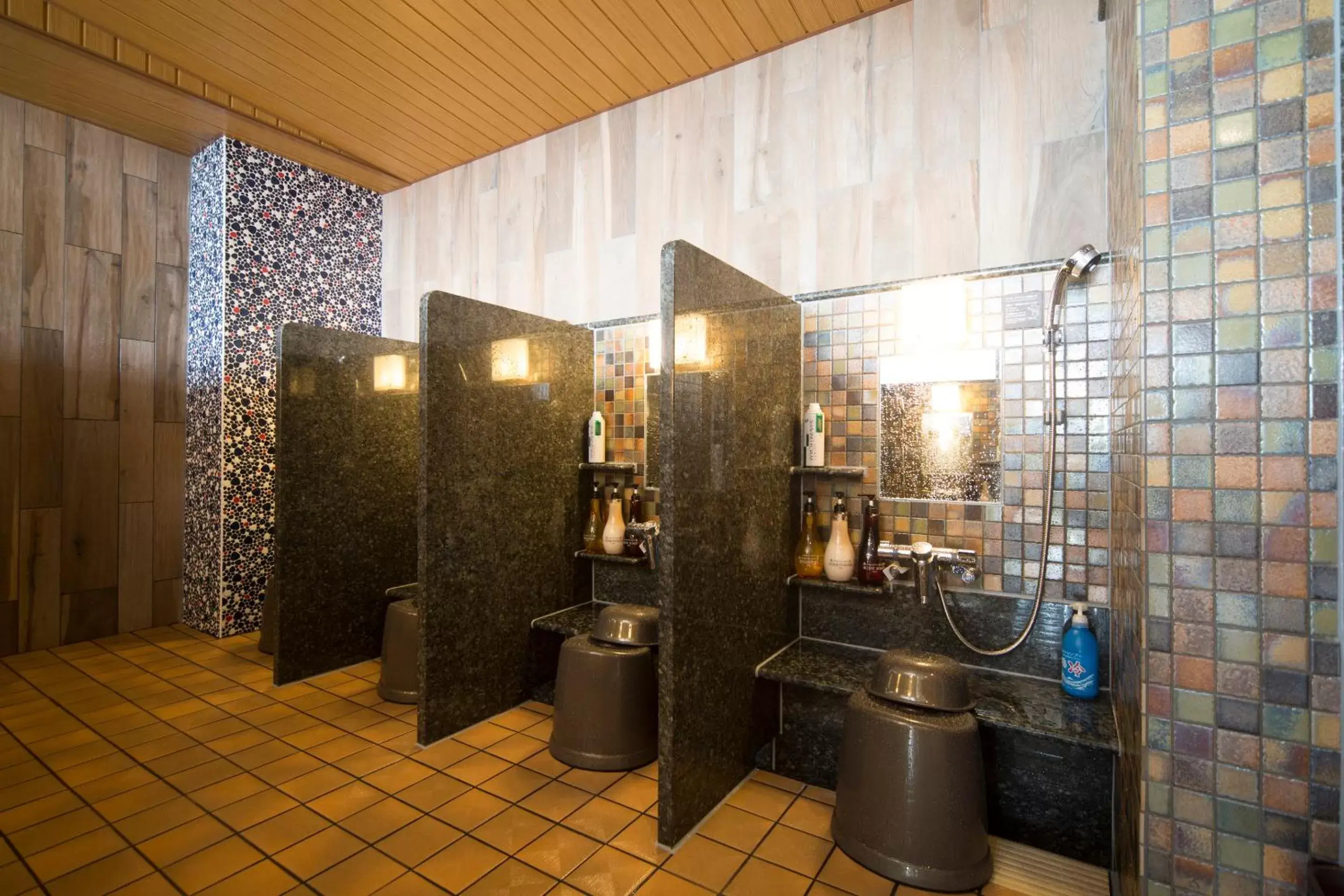 Public Bath, Bathroom in Dormy Inn Izumo