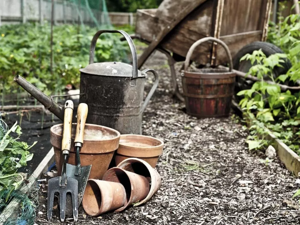 Activities in Marsham Arms Inn