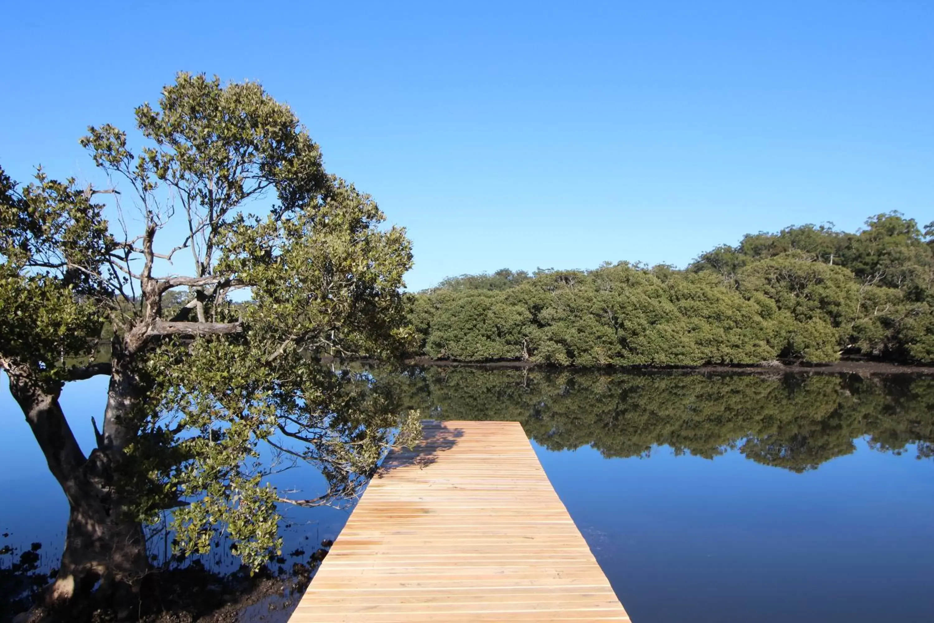 River view in Batemans Bay Lodge