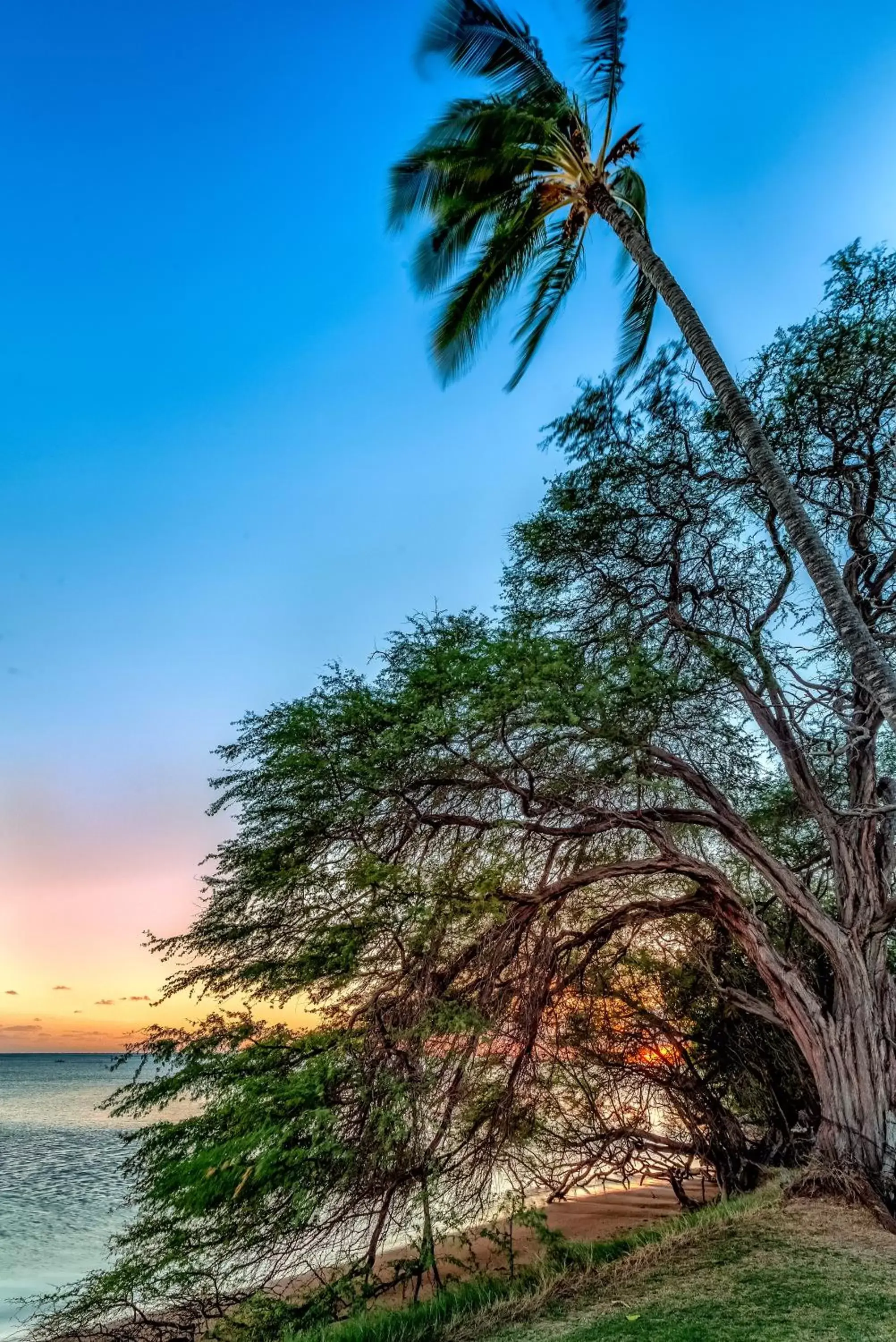 Beach in Castle Molokai Shores