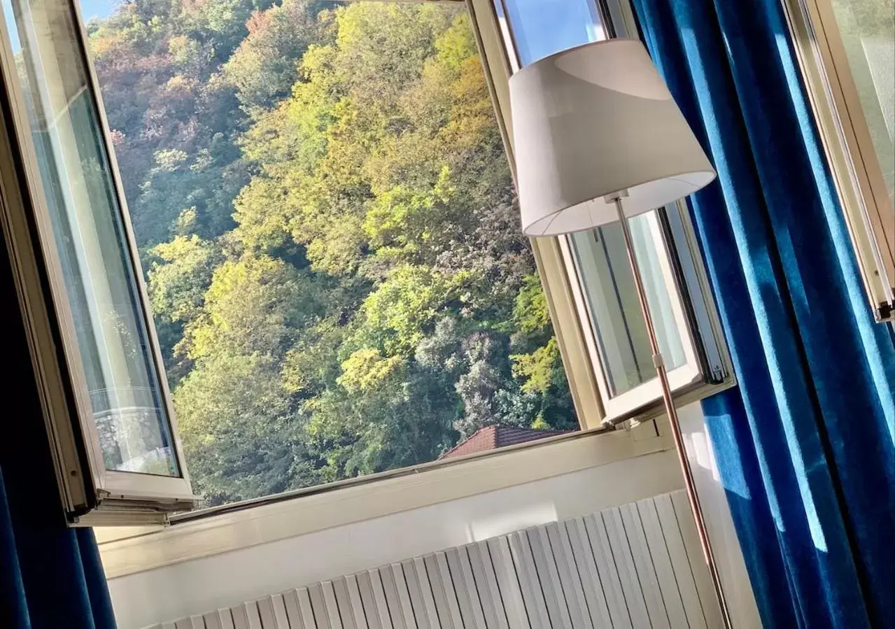Mountain view in Hotel Brescia