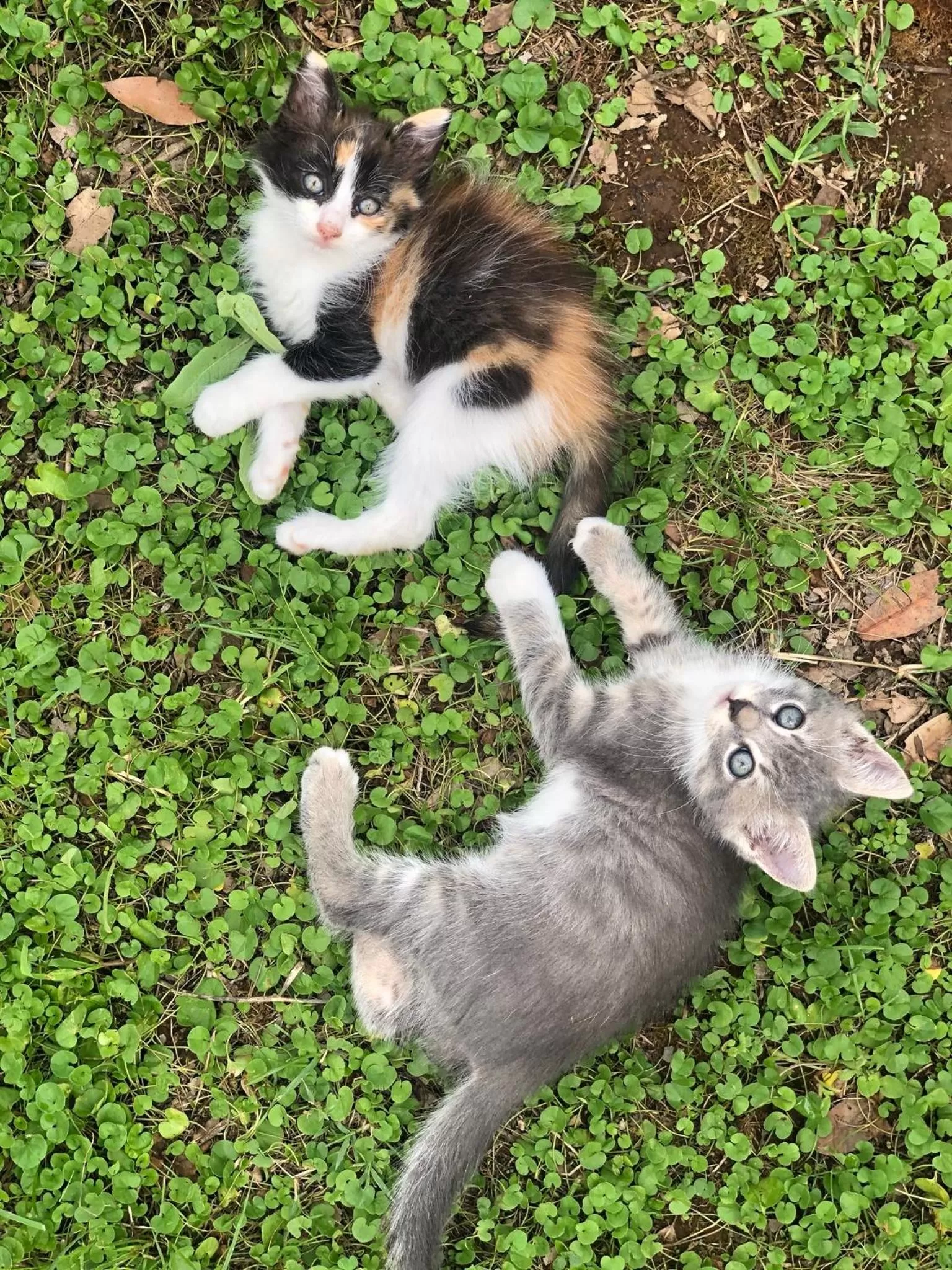 Day in Casa Blanca B&B