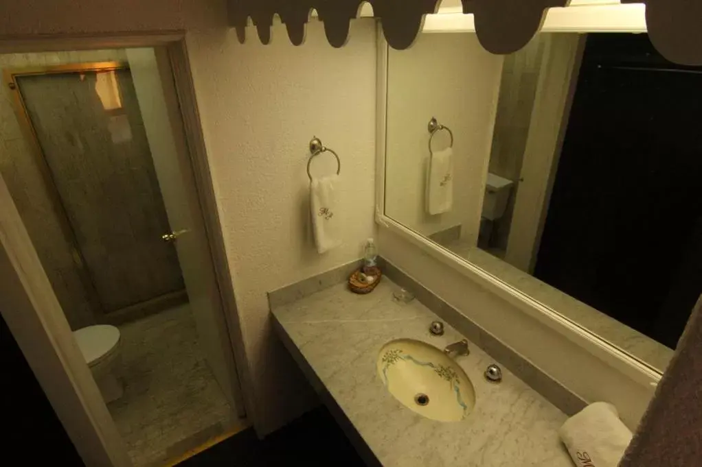 Bathroom in Mansion Havre