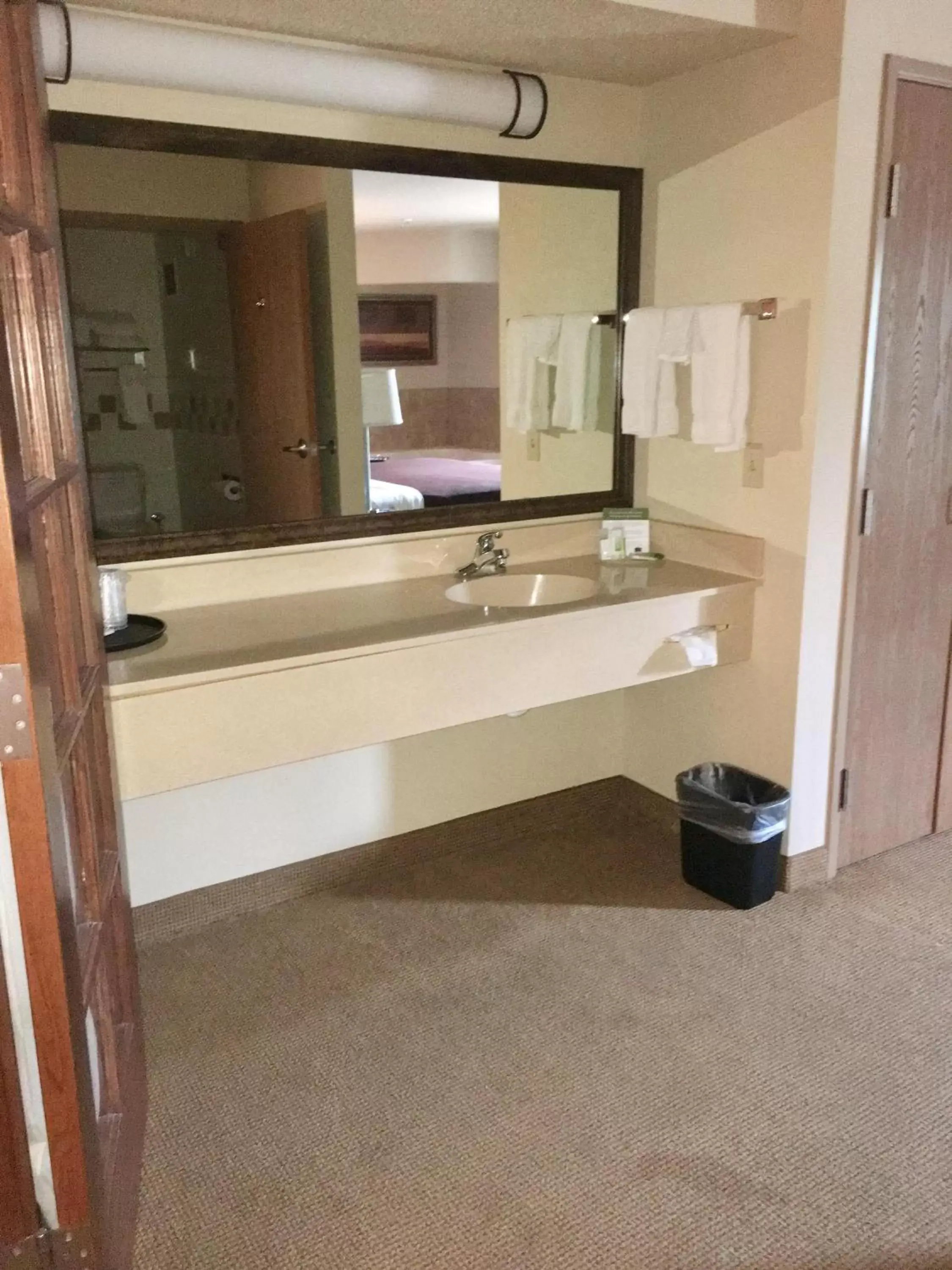 Bathroom in AmericInn by Wyndham Monmouth