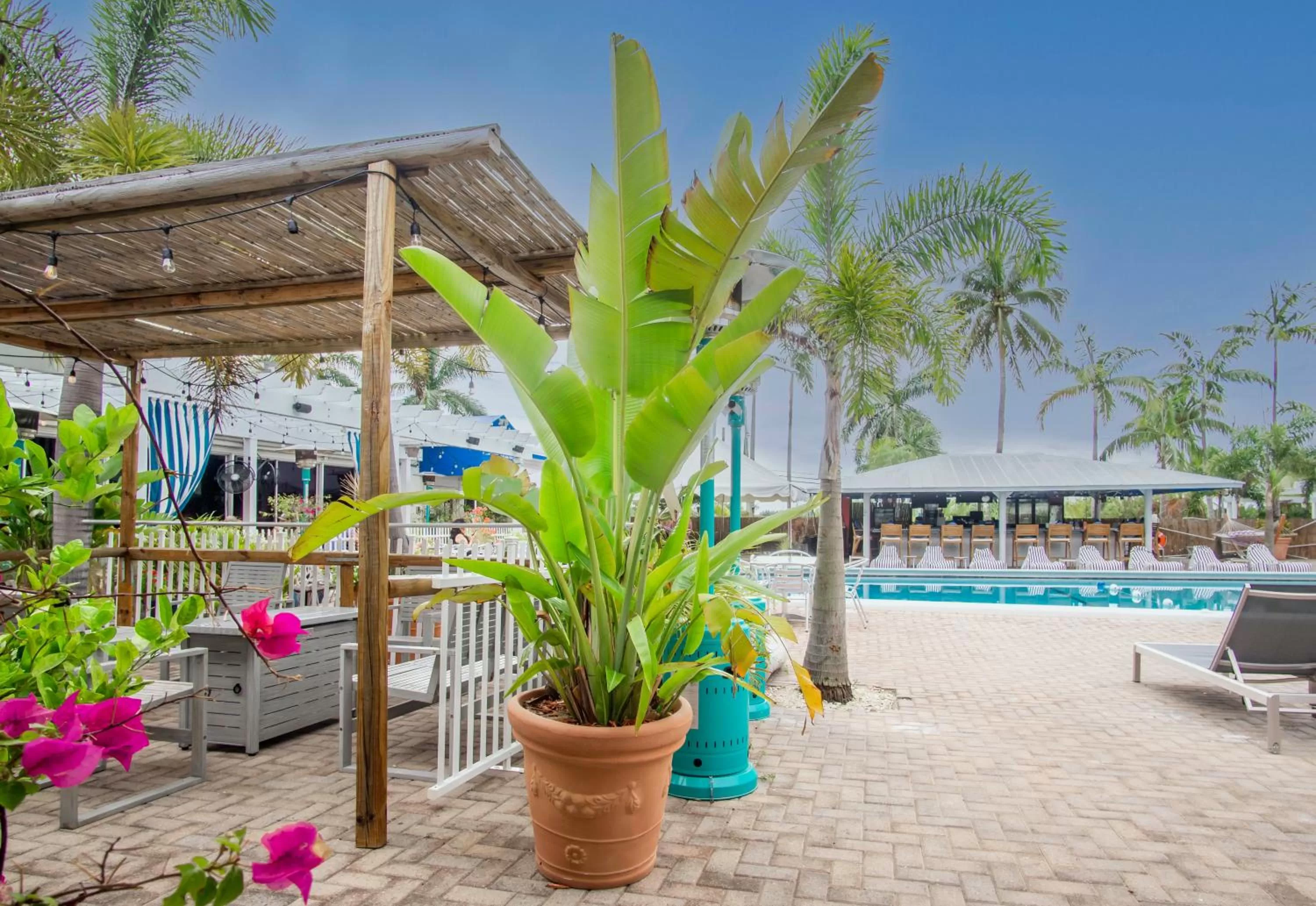 Swimming pool in Skipjack Resort & Marina