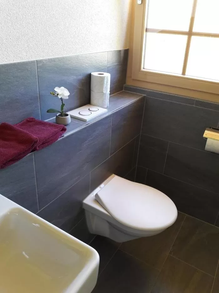 Toilet, Bathroom in Ferien in der Bergwelt von Adelboden