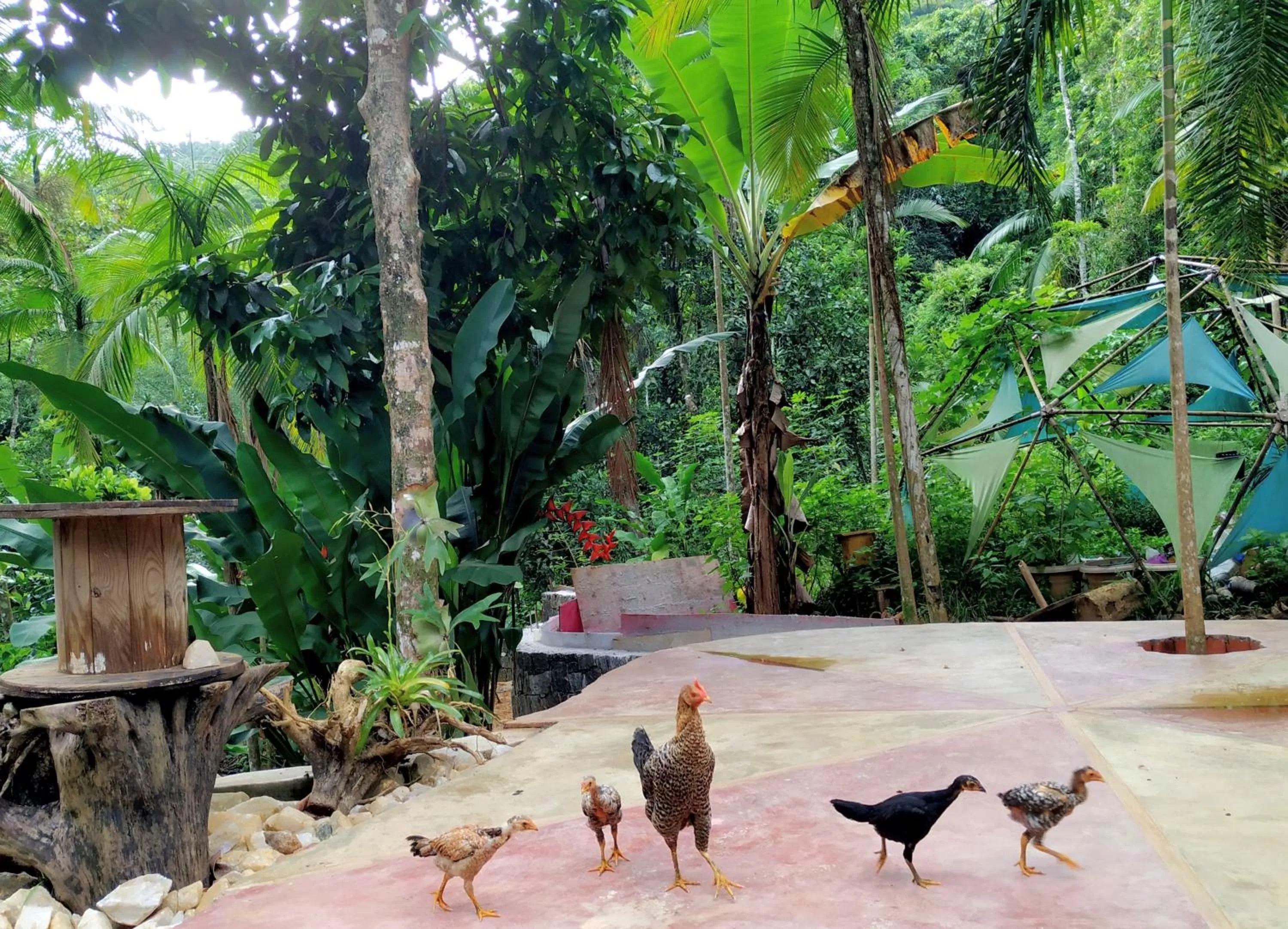 Natural landscape in Sitio Simple Life