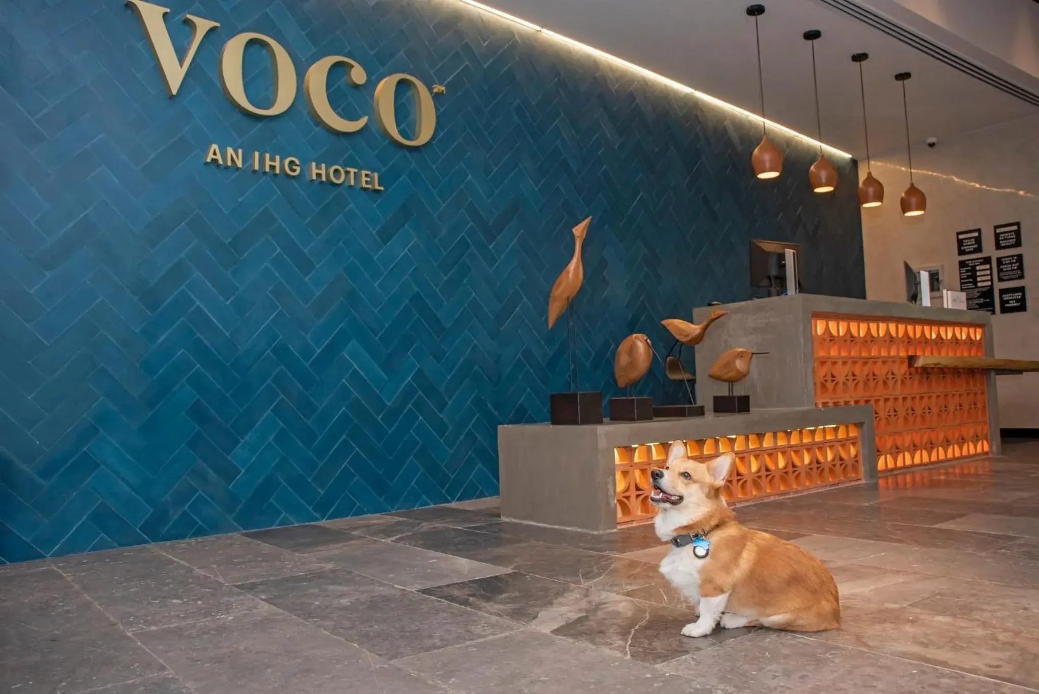 Property building, Pets in voco Guadalajara Neruda, an IHG Hotel