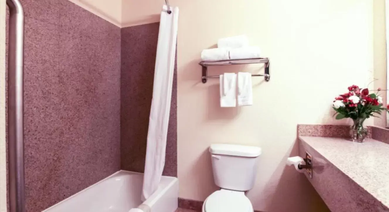 Bathroom in Mountain Inn & Suites Airport - Hendersonville
