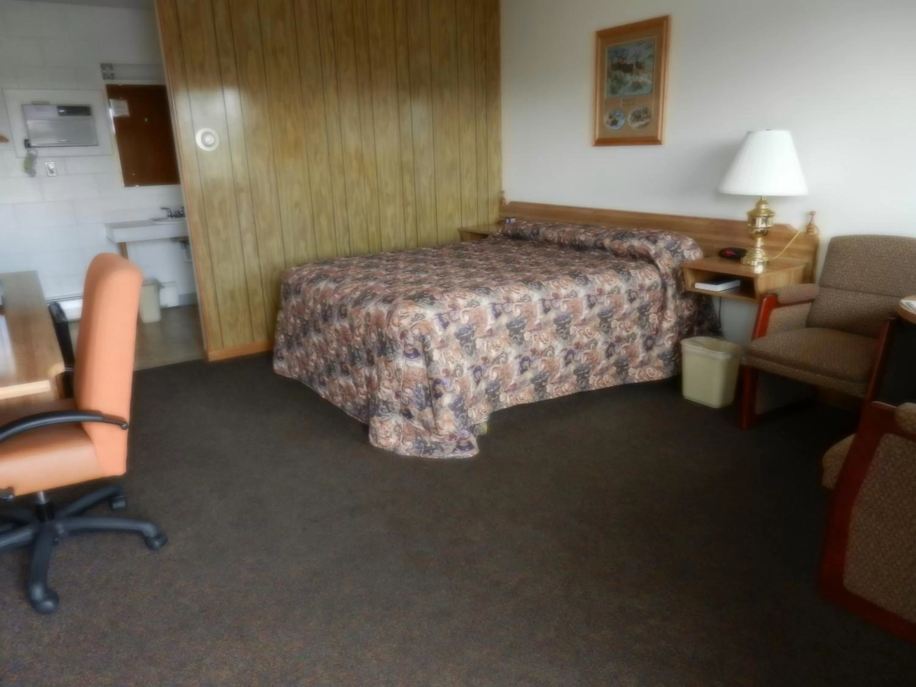 Queen Room - Non-Smoking in Paintbrush Motel