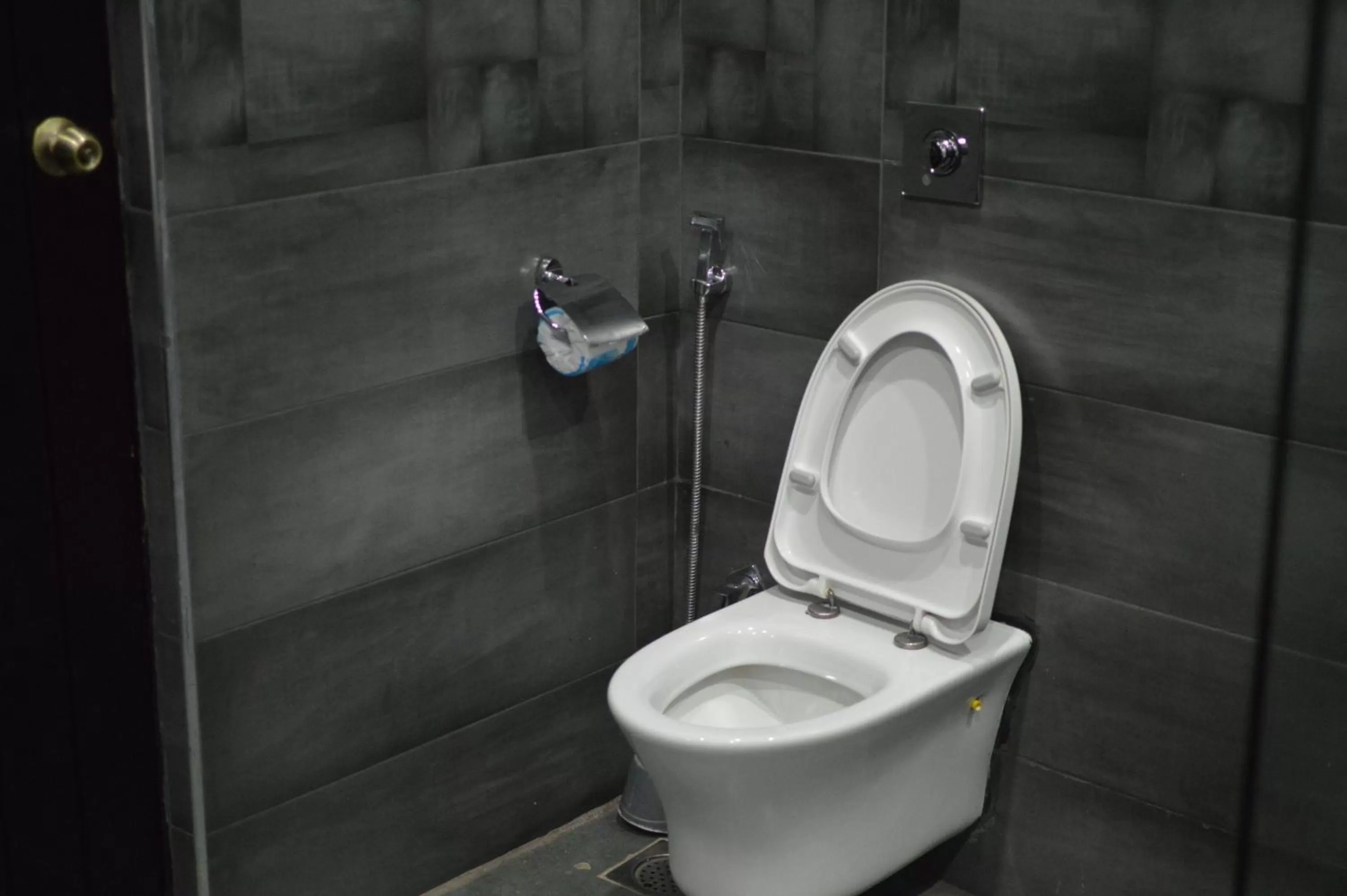 Toilet in Palm Kalash Hotel