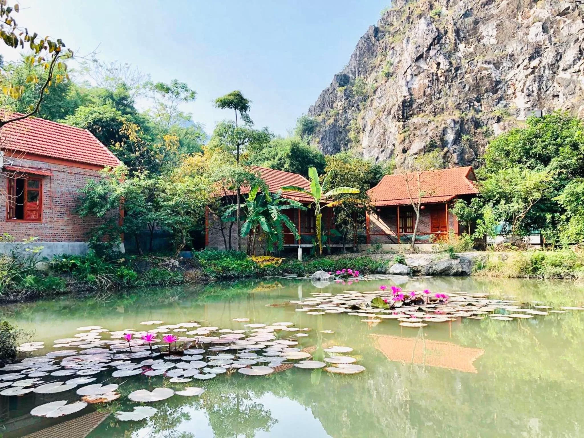Property building in Trang An Lotus Lake Homestay