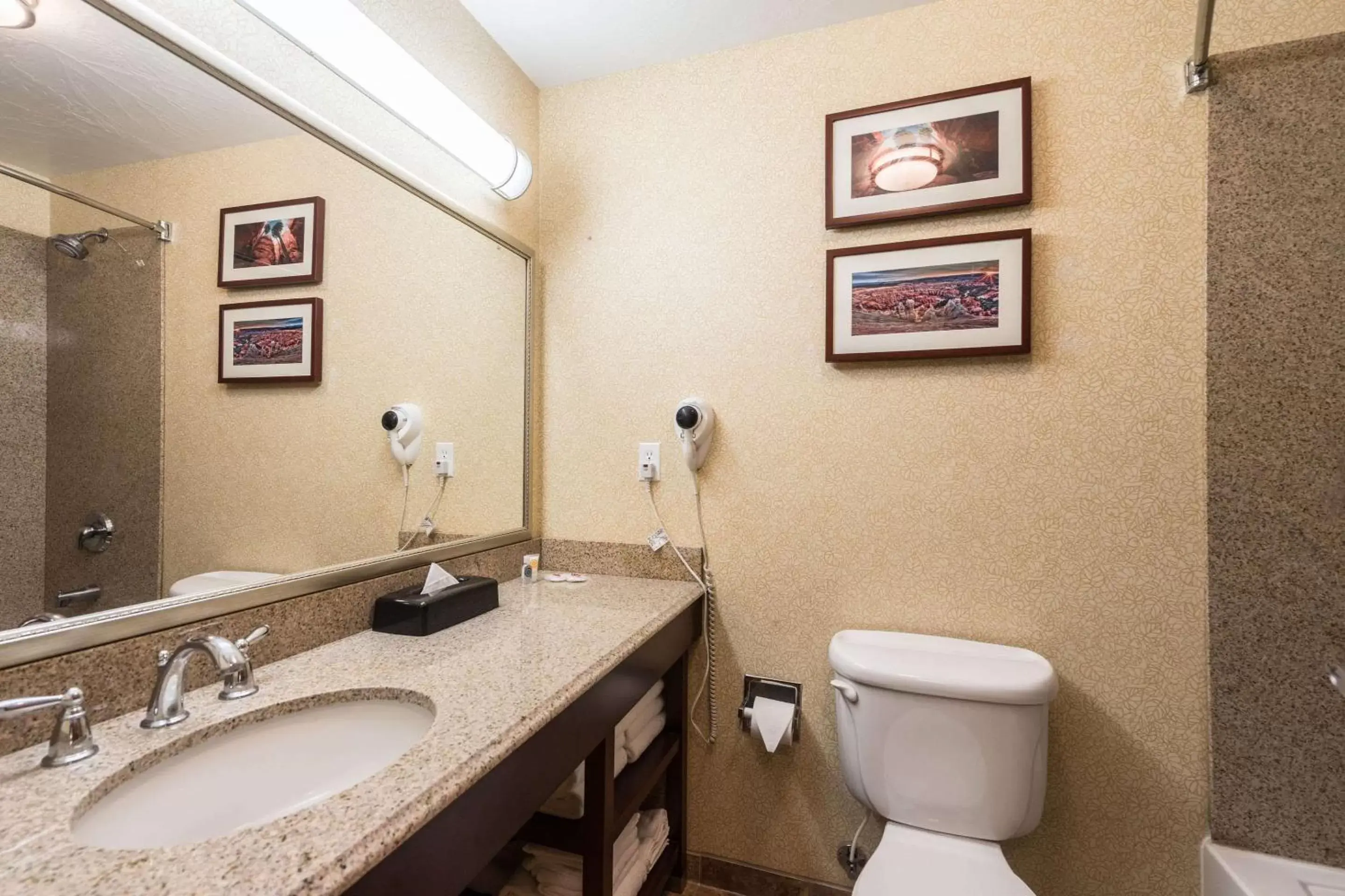 Photo of the whole room, Bathroom in Comfort Inn and Suites Cedar City
