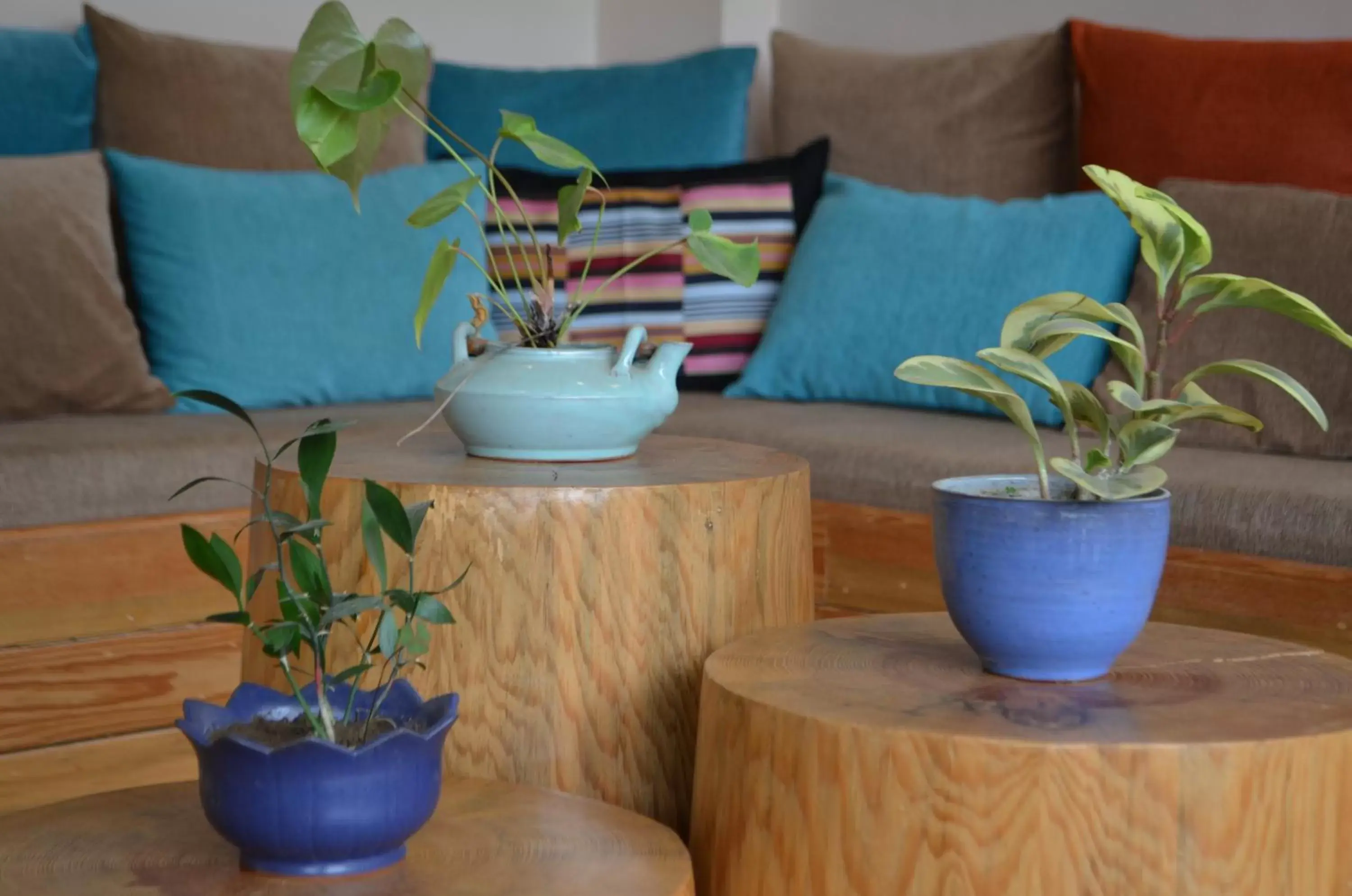 Lobby or reception, Seating Area in Hotel Karuna