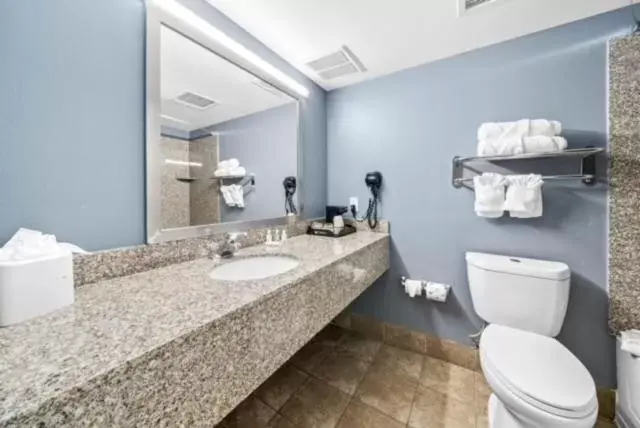 Bathroom in Quality Inn & Suites Near Fairgrounds & Ybor City