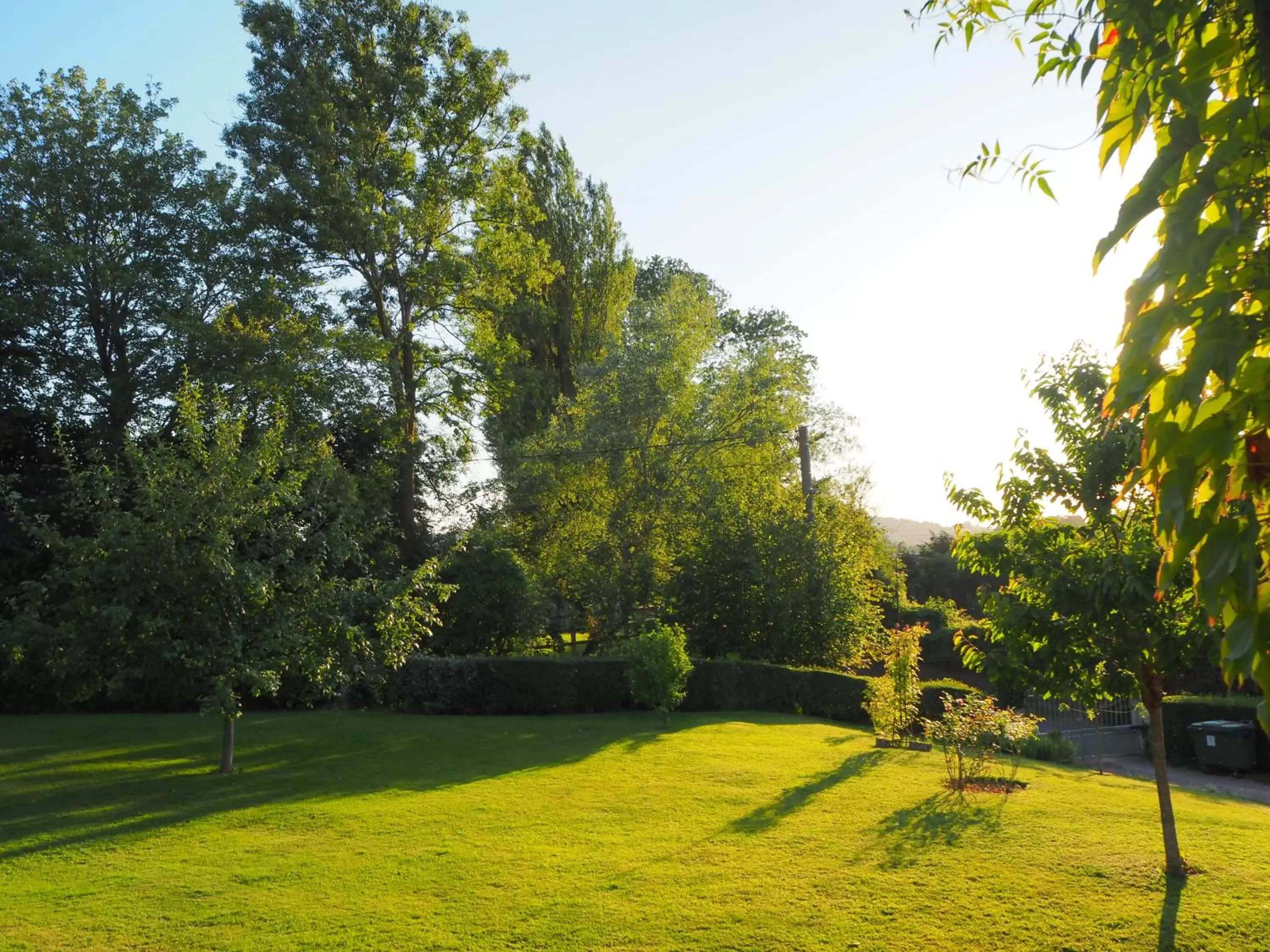 Garden in Cour Tholmer