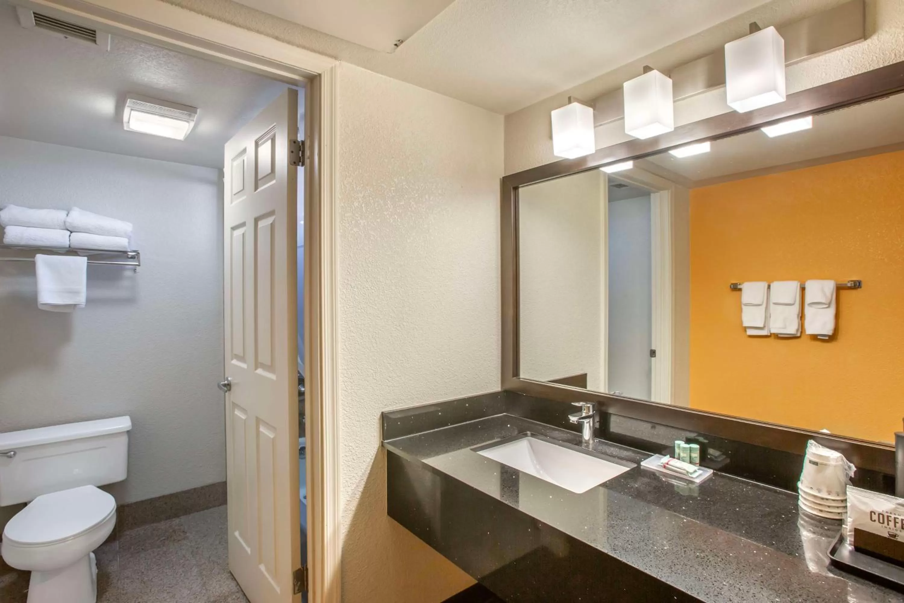 Bathroom in Best Western Arizonian Inn