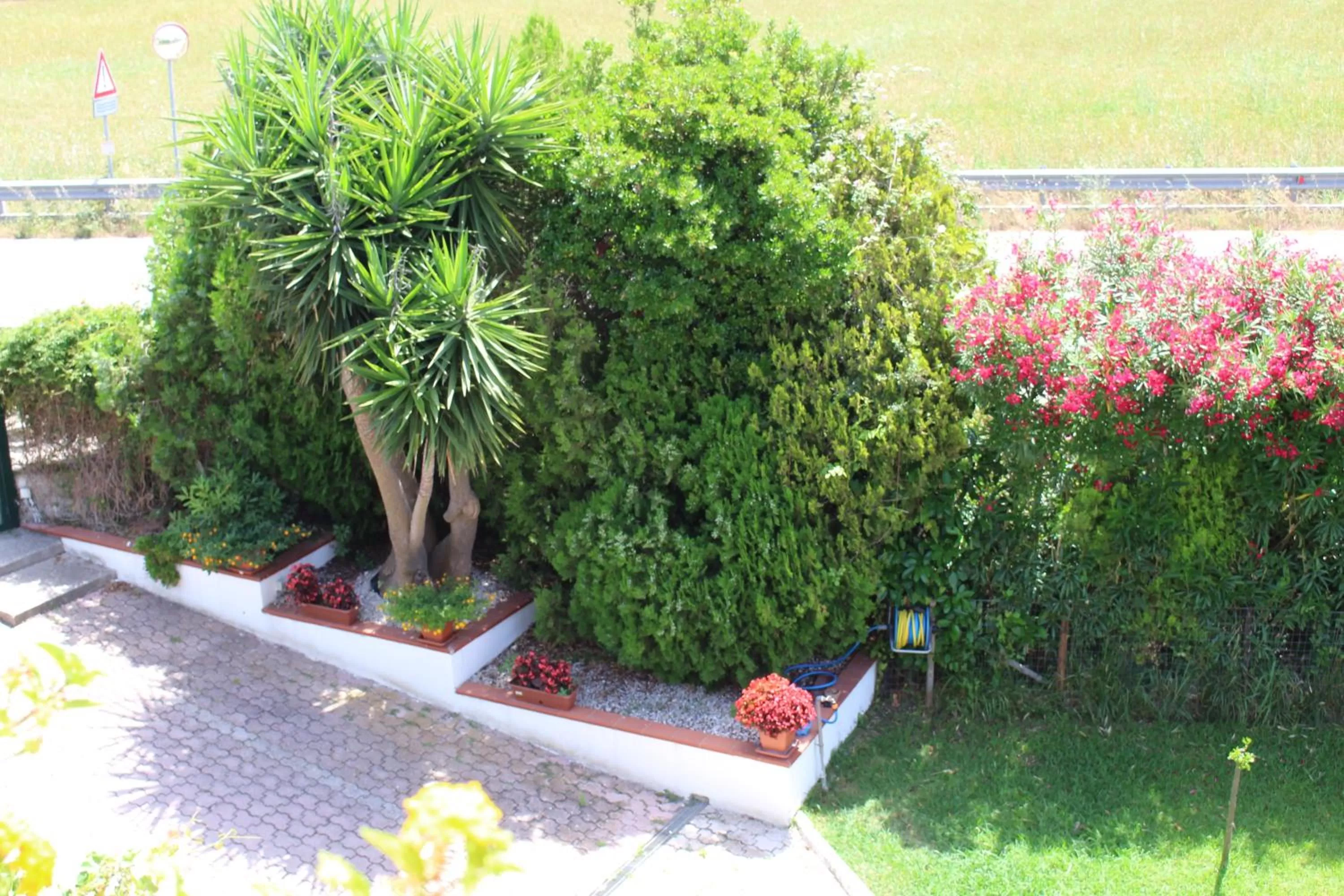 Garden in B&B Il Girasole