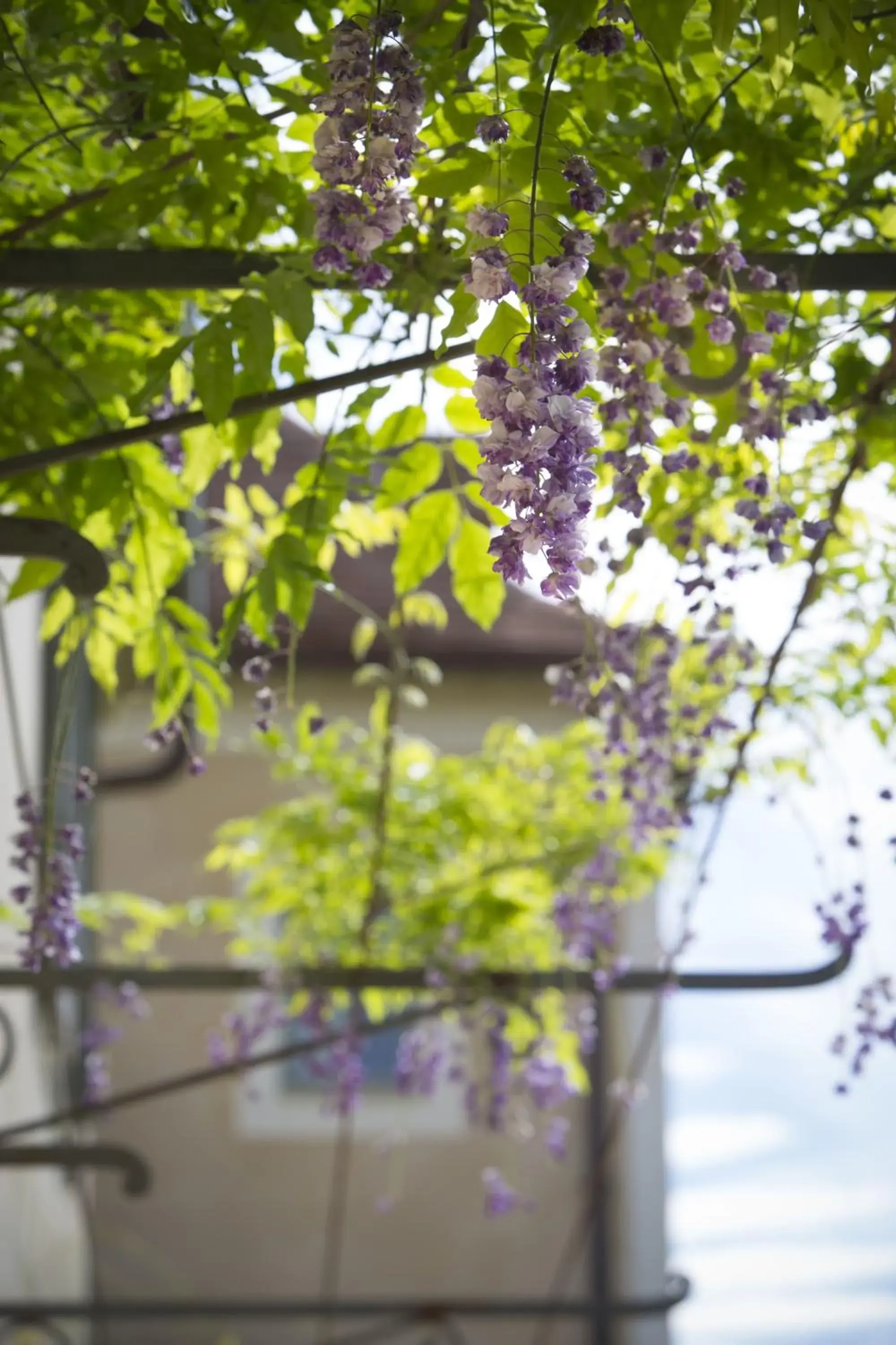 Spring in Hôtel-Spa Le Saint Cirq