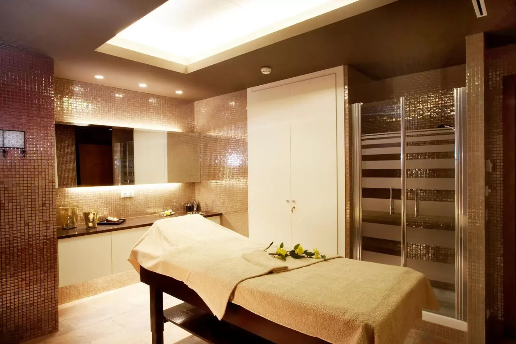 Spa and wellness centre/facilities, Spa/Wellness in Grand Plaza Hotel & Wellness
